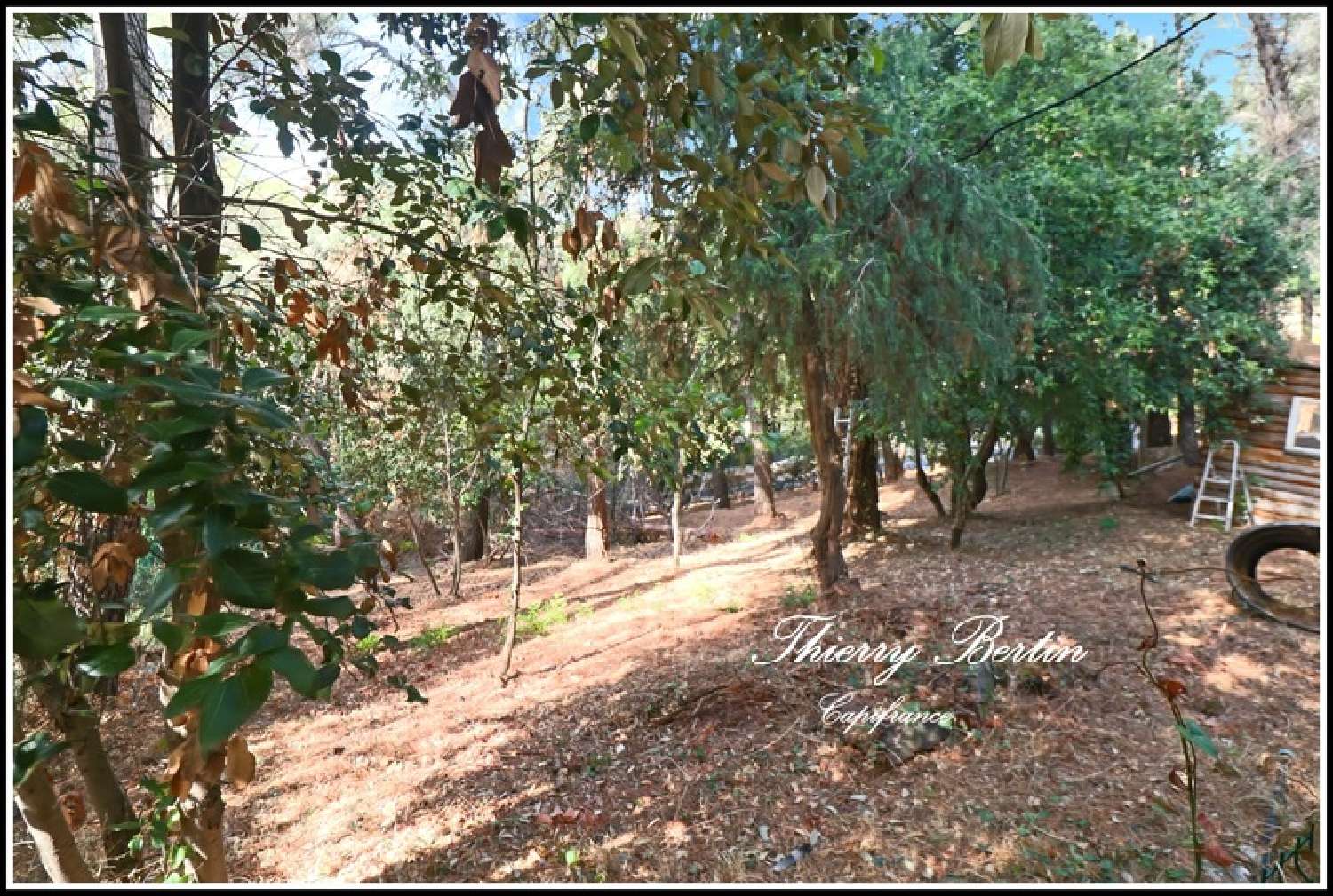 à vendre terrain La Gaude Alpes-Maritimes 4