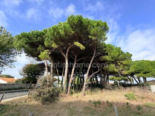 Le Bois-Plage-en-Ré Charente-Maritime terrein foto 7159894