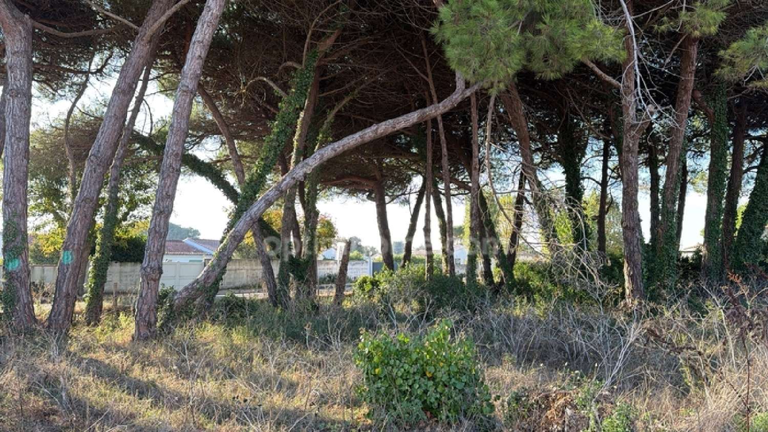 te koop terrein Le Bois-Plage-en-Ré Charente-Maritime 3