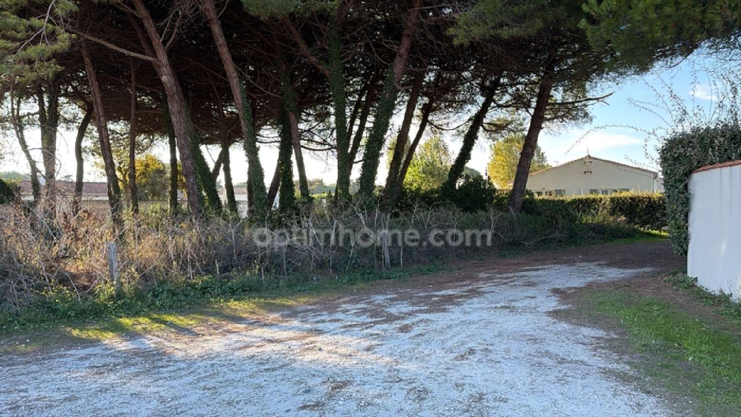  te koop terrein Le Bois-Plage-en-Ré Charente-Maritime 1