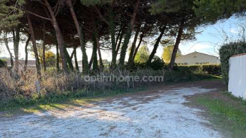 Le Bois-Plage-en-Ré Charente-Maritime terreno foto 7160253