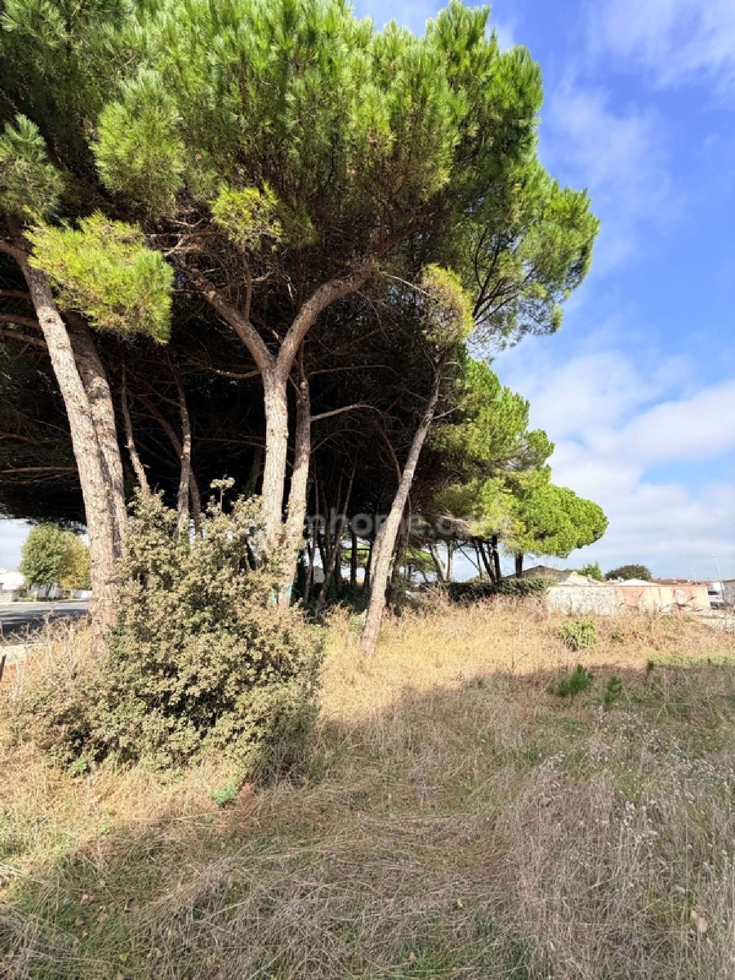  te koop terrein Le Bois-Plage-en-Ré Charente-Maritime 2