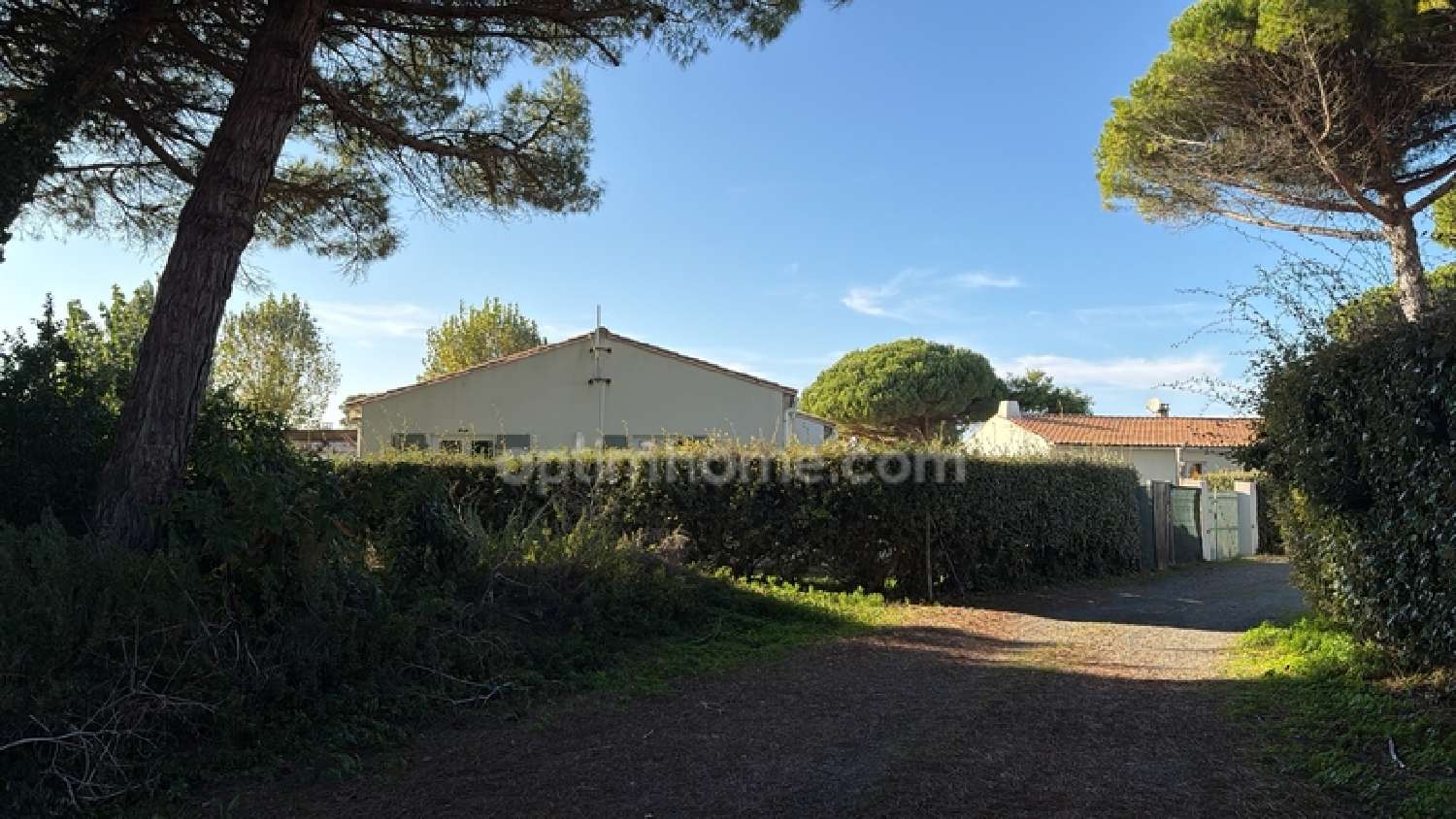  te koop terrein Le Bois-Plage-en-Ré Charente-Maritime 3