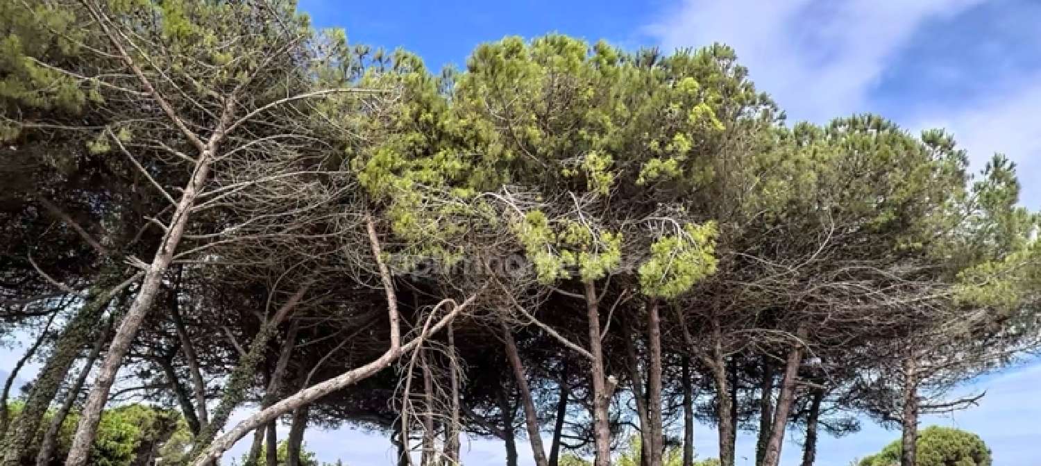  te koop terrein Le Bois-Plage-en-Ré Charente-Maritime 4
