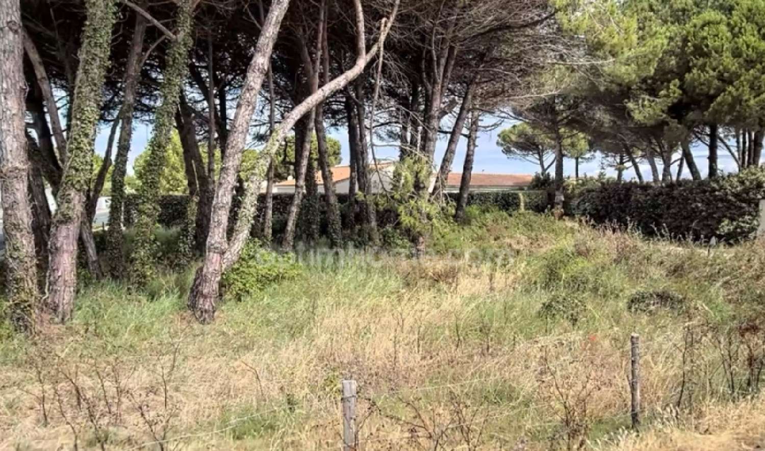  te koop terrein Le Bois-Plage-en-Ré Charente-Maritime 5