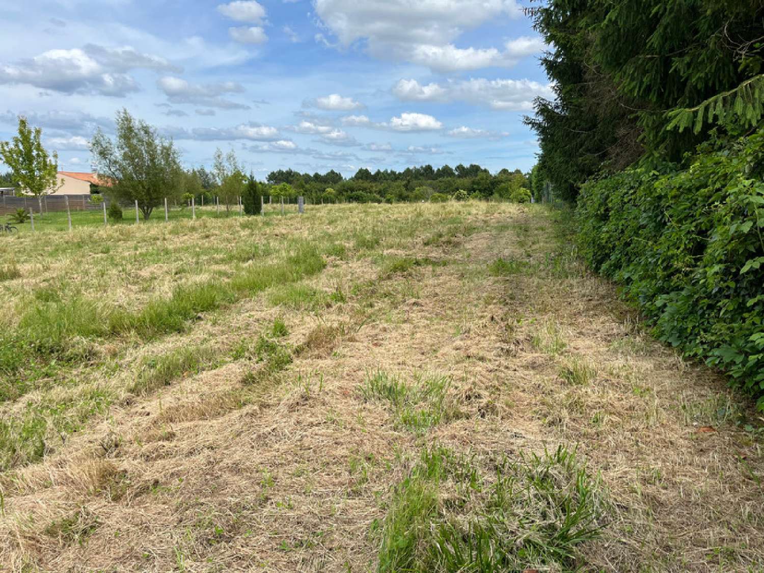 for sale terrain Le Fouilloux Charente-Maritime 3