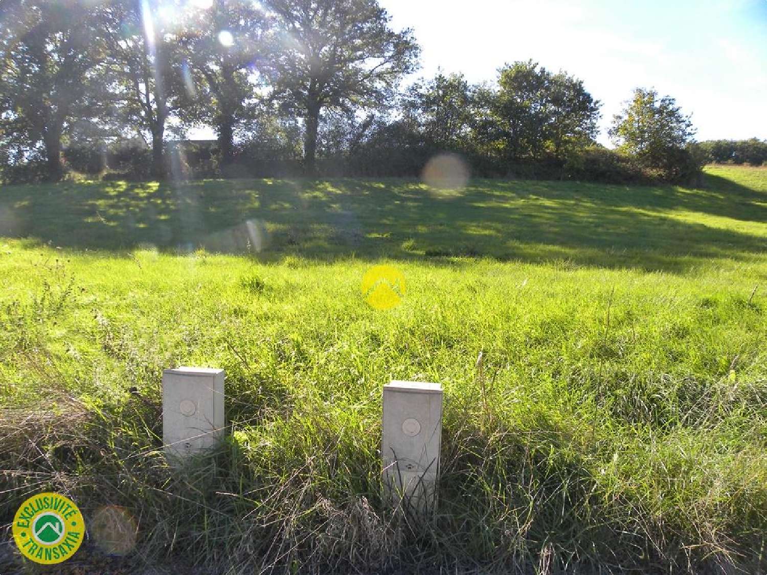 te koop terrein Léré Cher 1