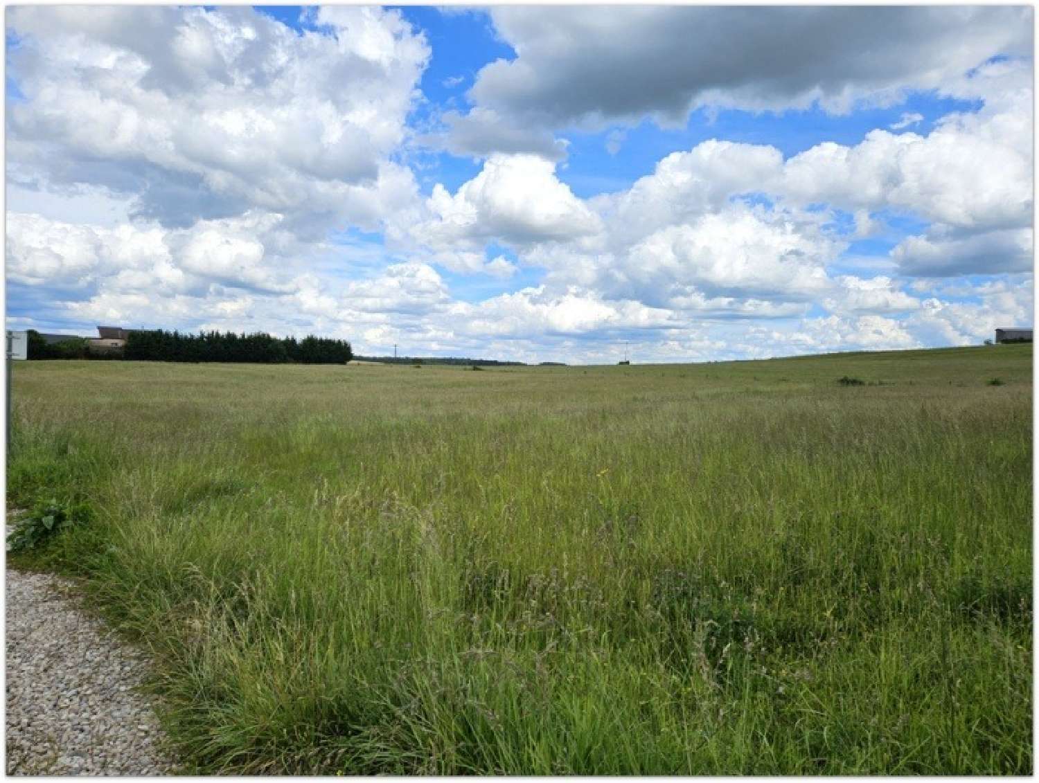  for sale terrain Lerrain Vosges 1