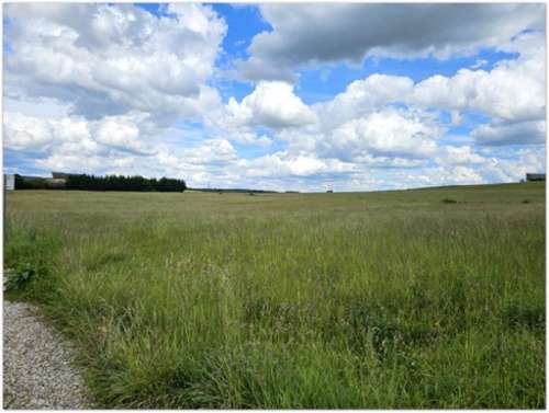 Lerrain Vosges terrain foto 7162981