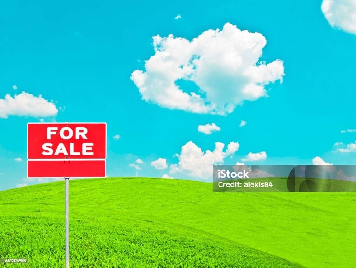 for sale terrain Lésigny Vienne 1