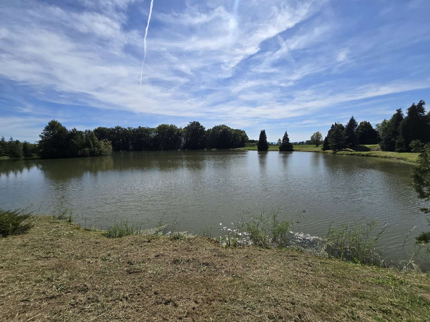  for sale terrain Leval Territoire de Belfort 4