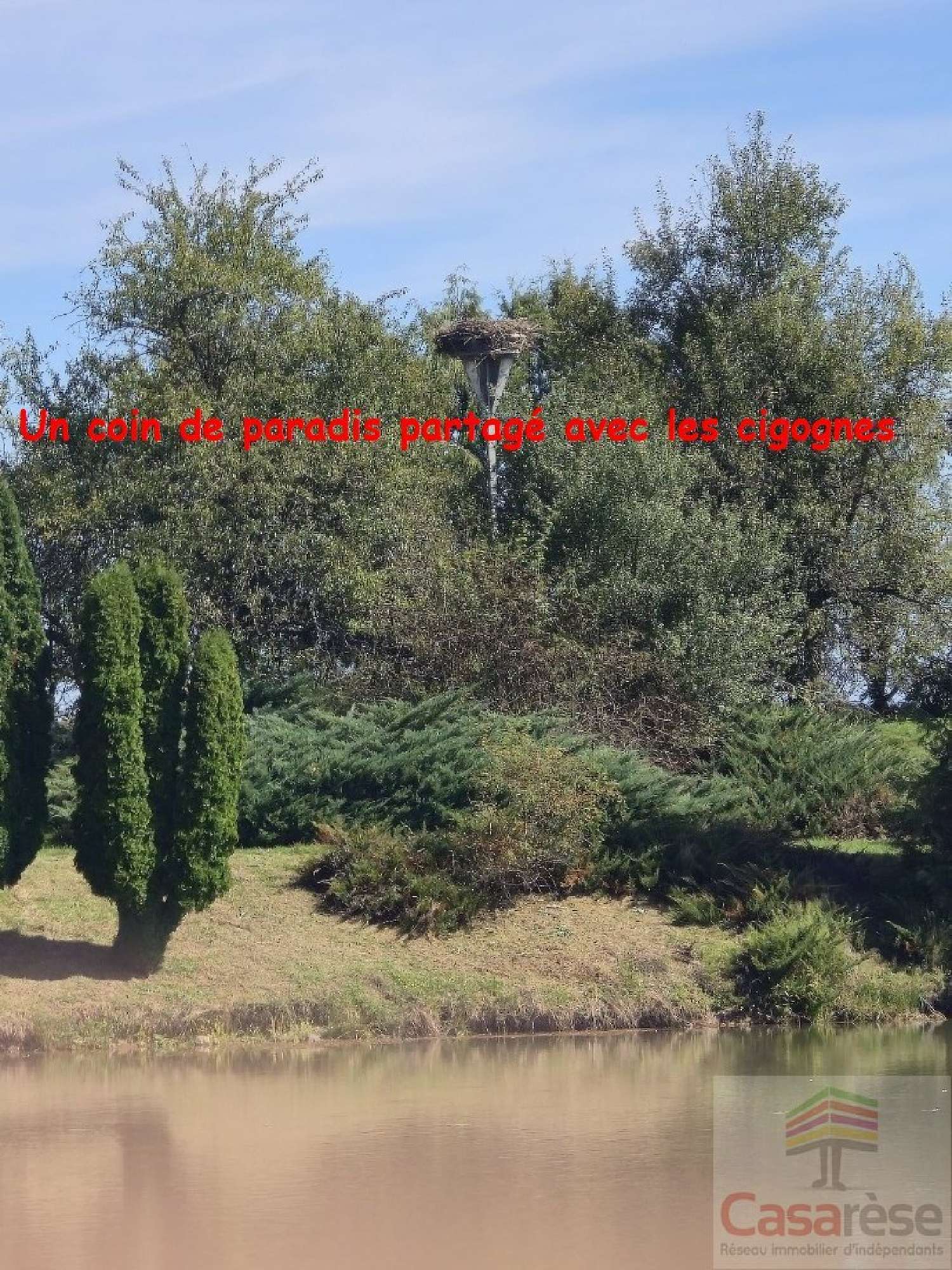  for sale terrain Leval Territoire de Belfort 6