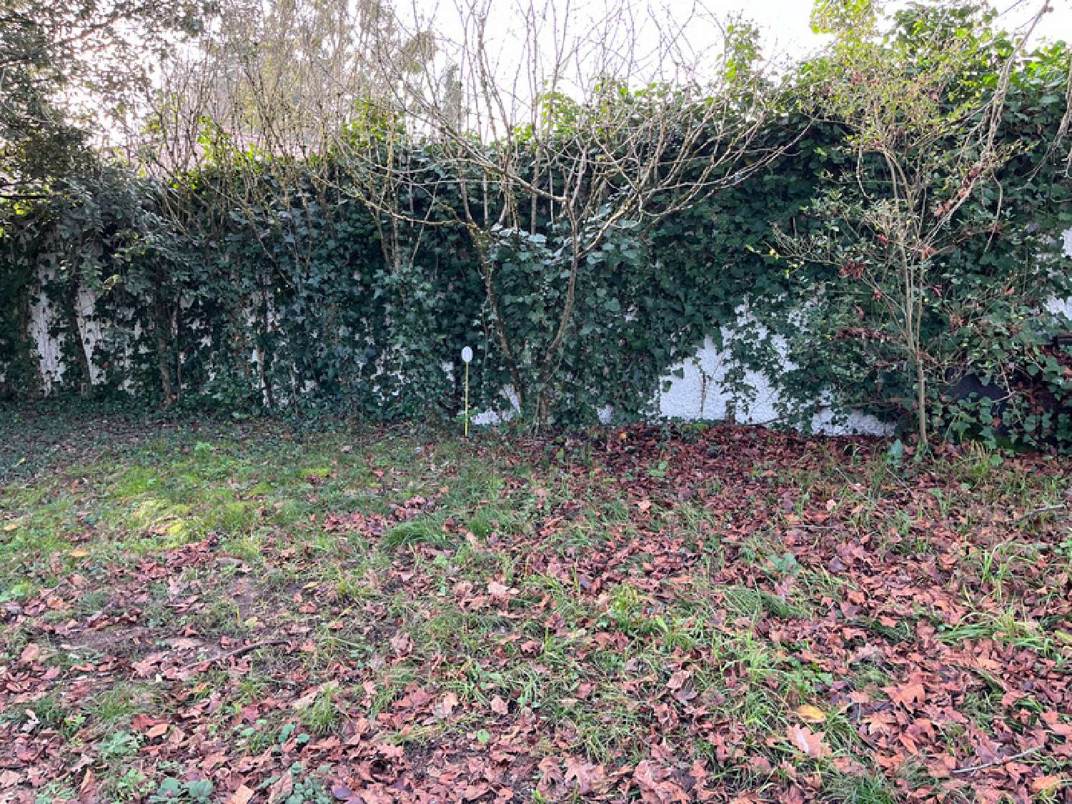  for sale terrain Libourne Gironde 4