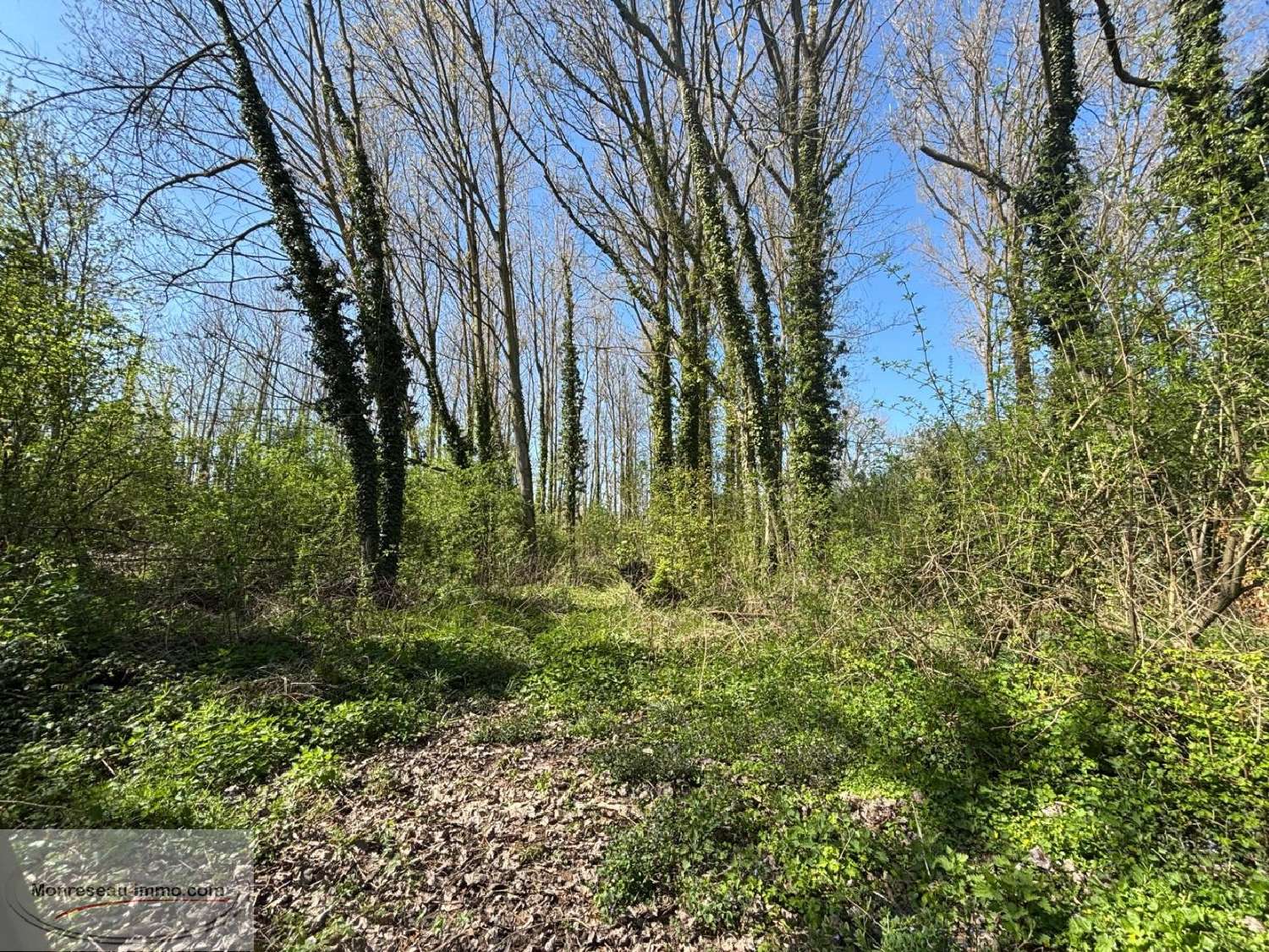 à vendre terrain Lille Nord 4