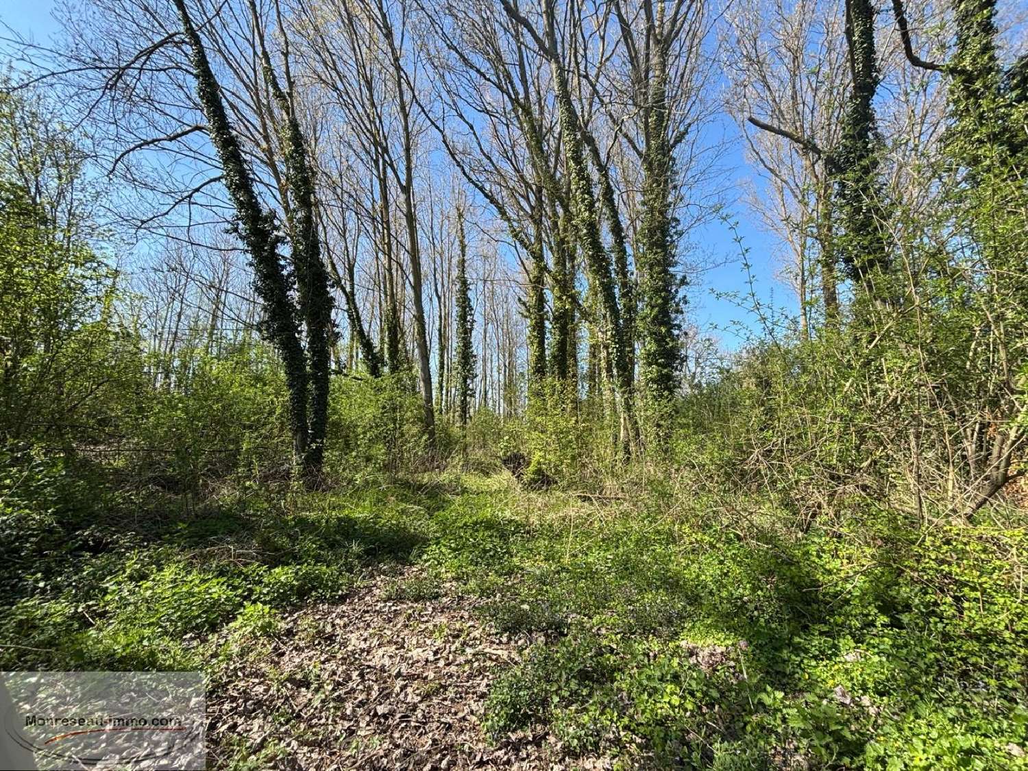 à vendre terrain Lille Nord 5