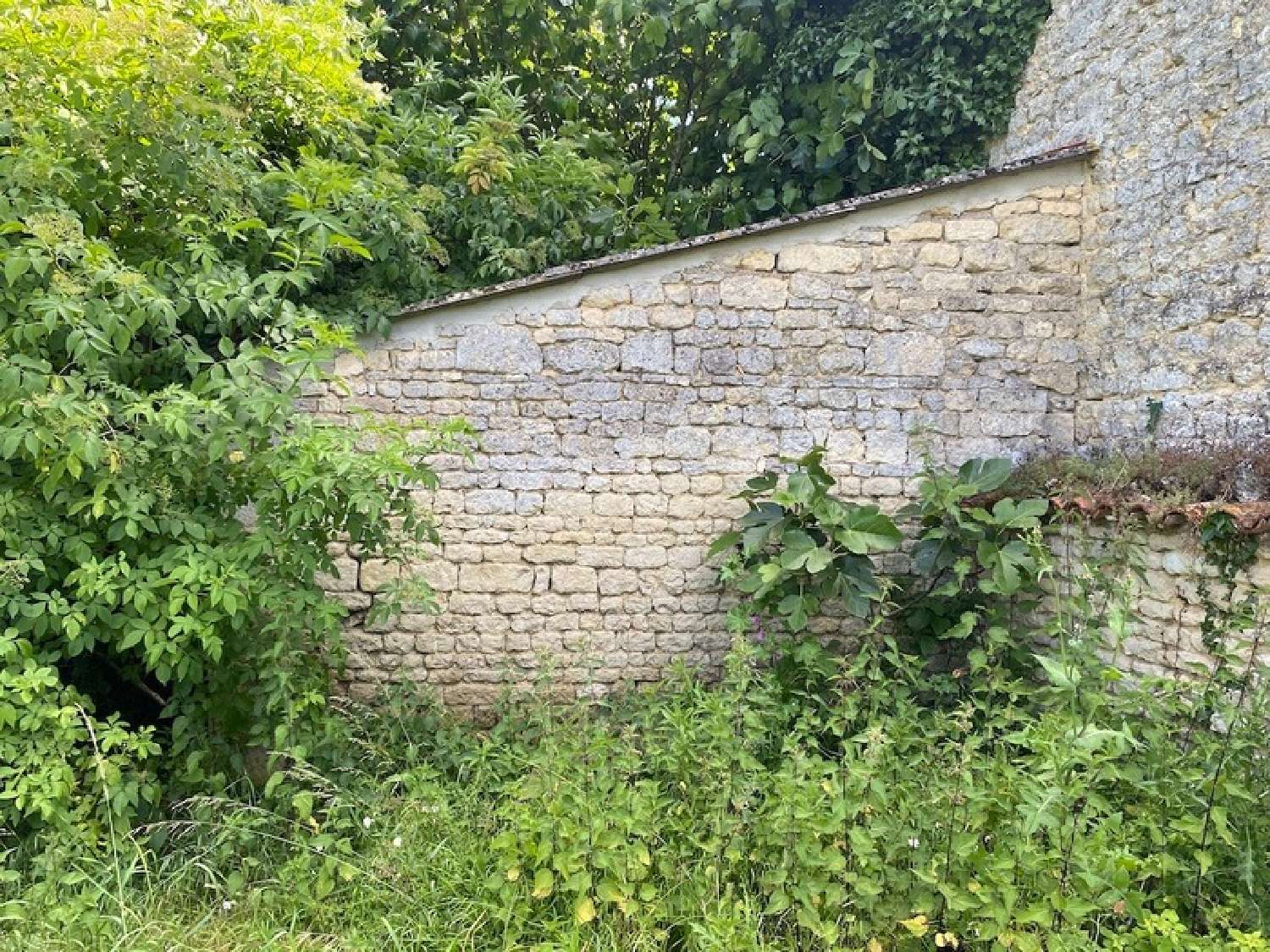  en venta terreno Loulay Charente-Maritime 7