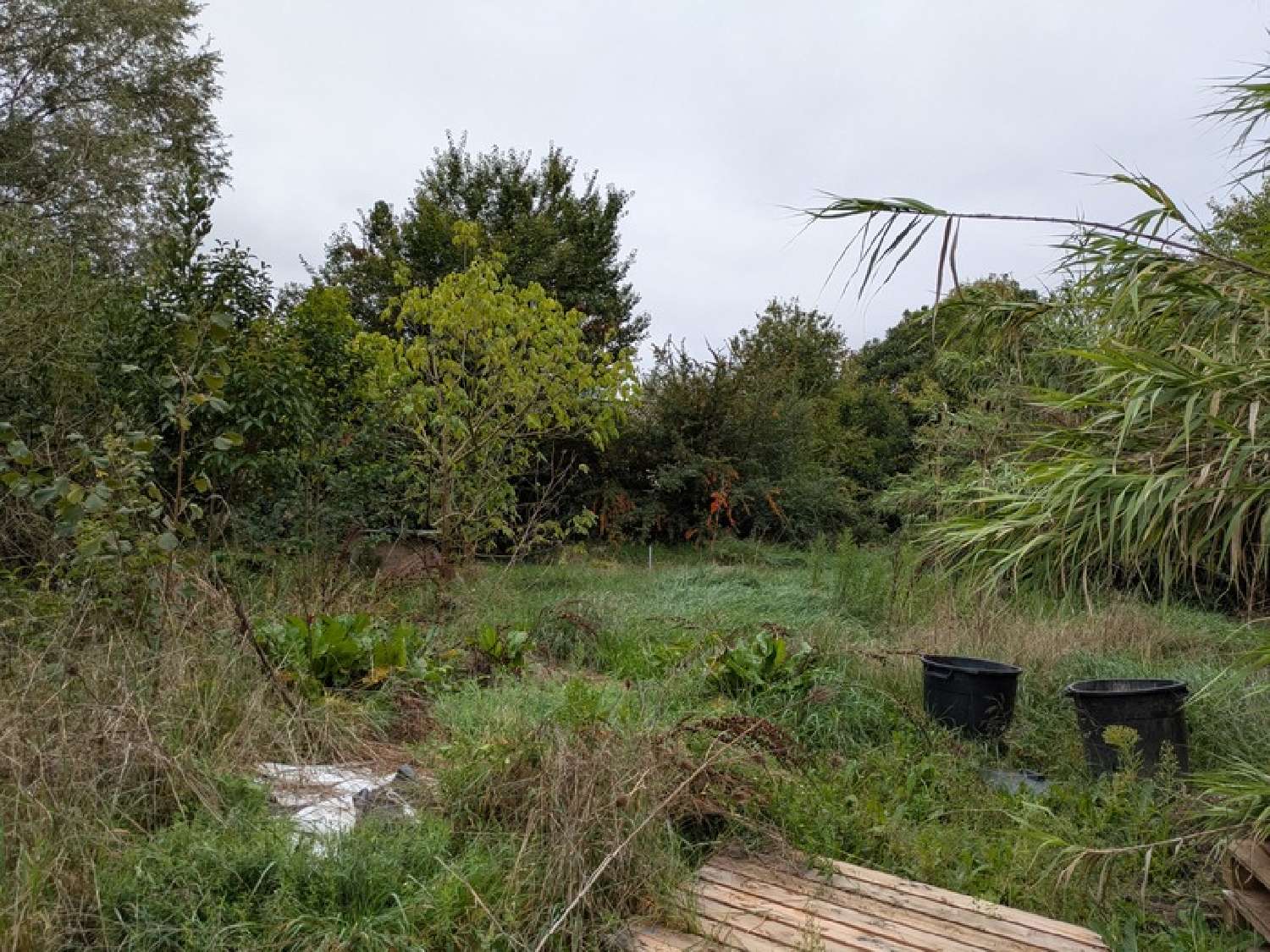  te koop terrein Lumbin Isère 2
