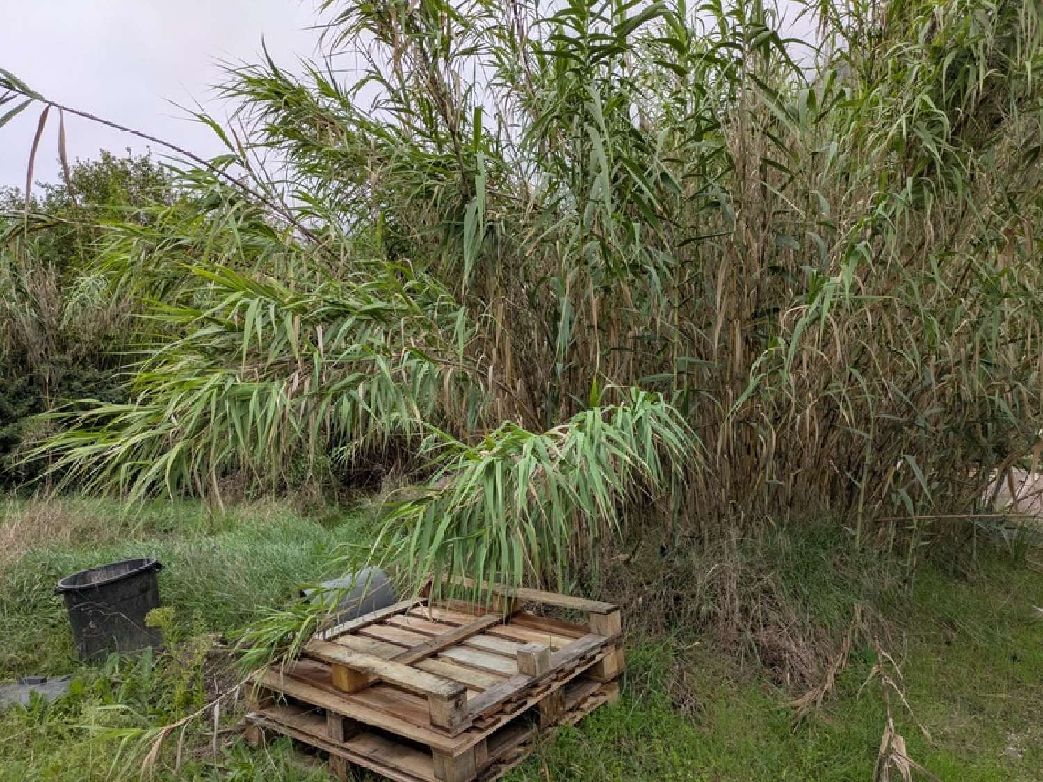  te koop terrein Lumbin Isère 3