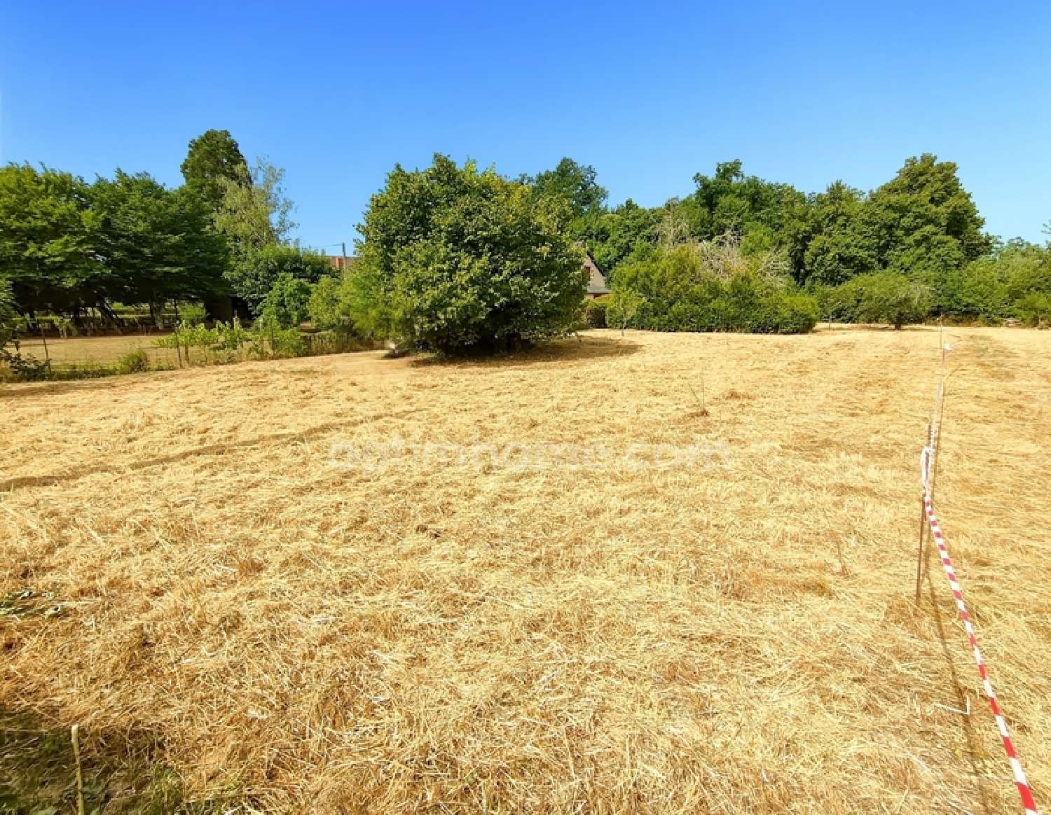  à vendre terrain Marmagne Cher 6