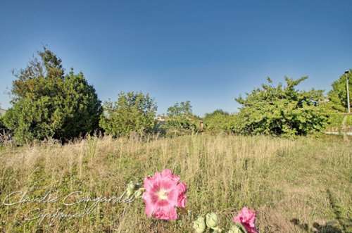 Marsilly Charente-Maritime terrein foto 7158351