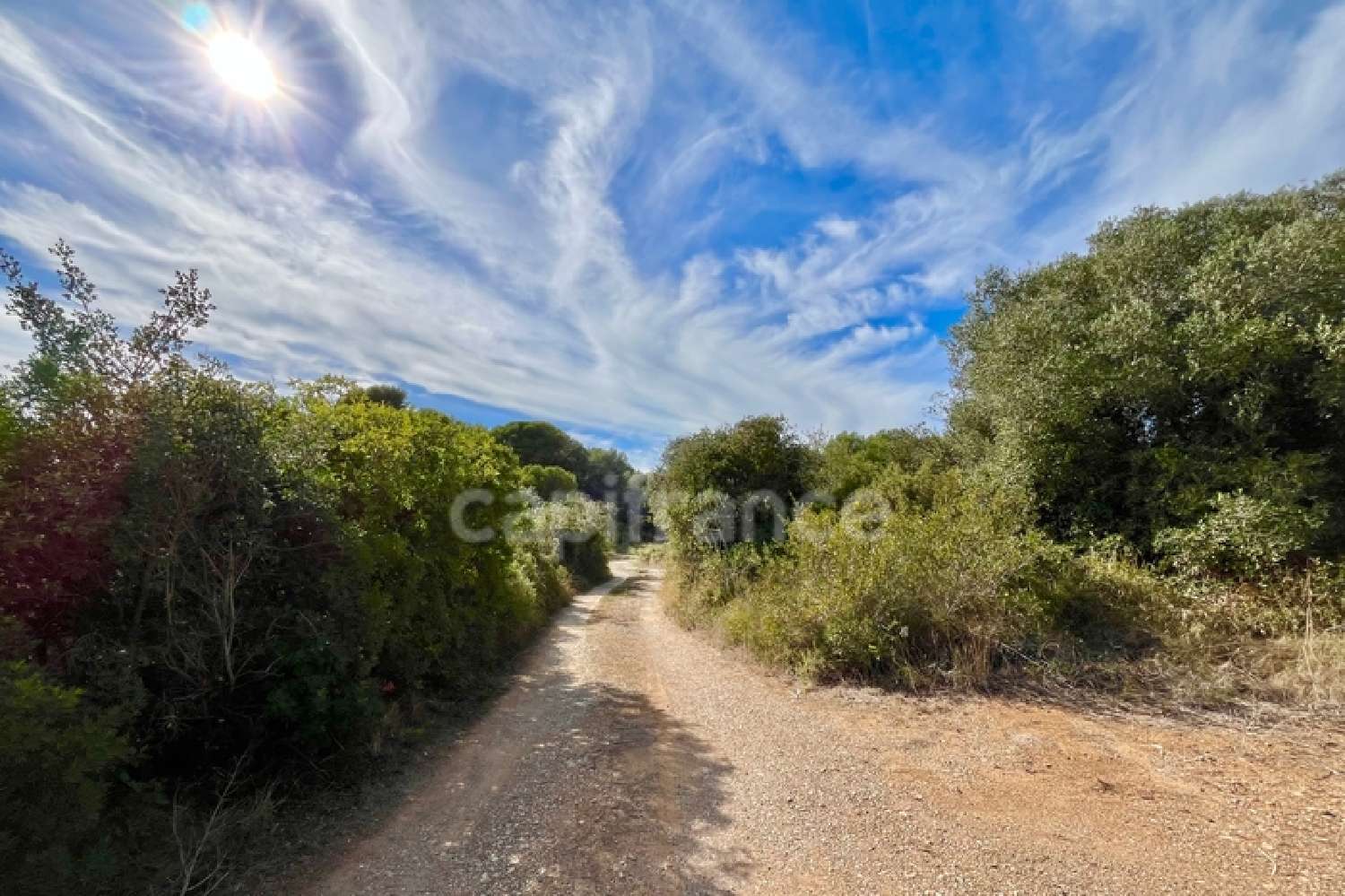  en venta terreno Mireval Hérault 3