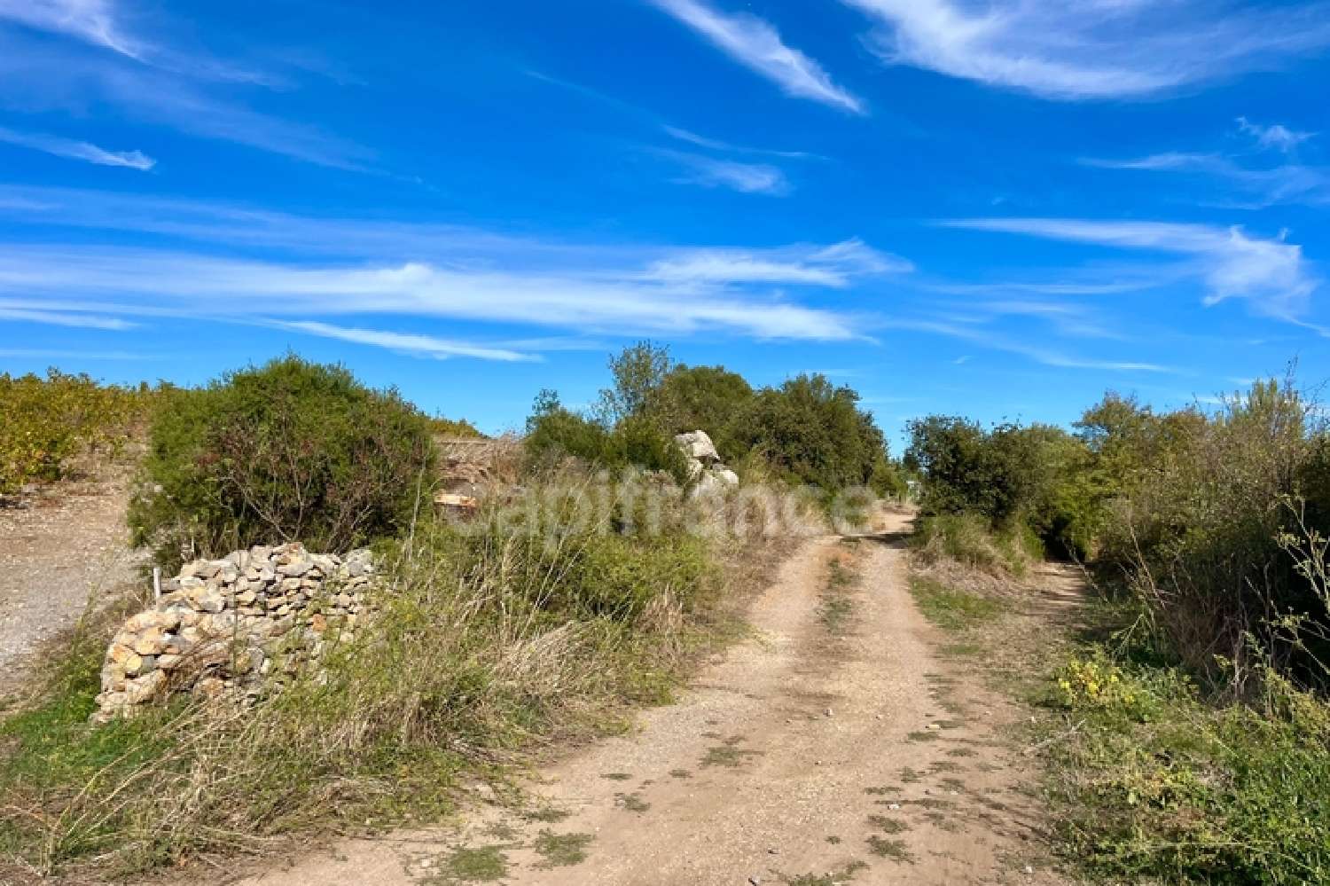  en venta terreno Mireval Hérault 4