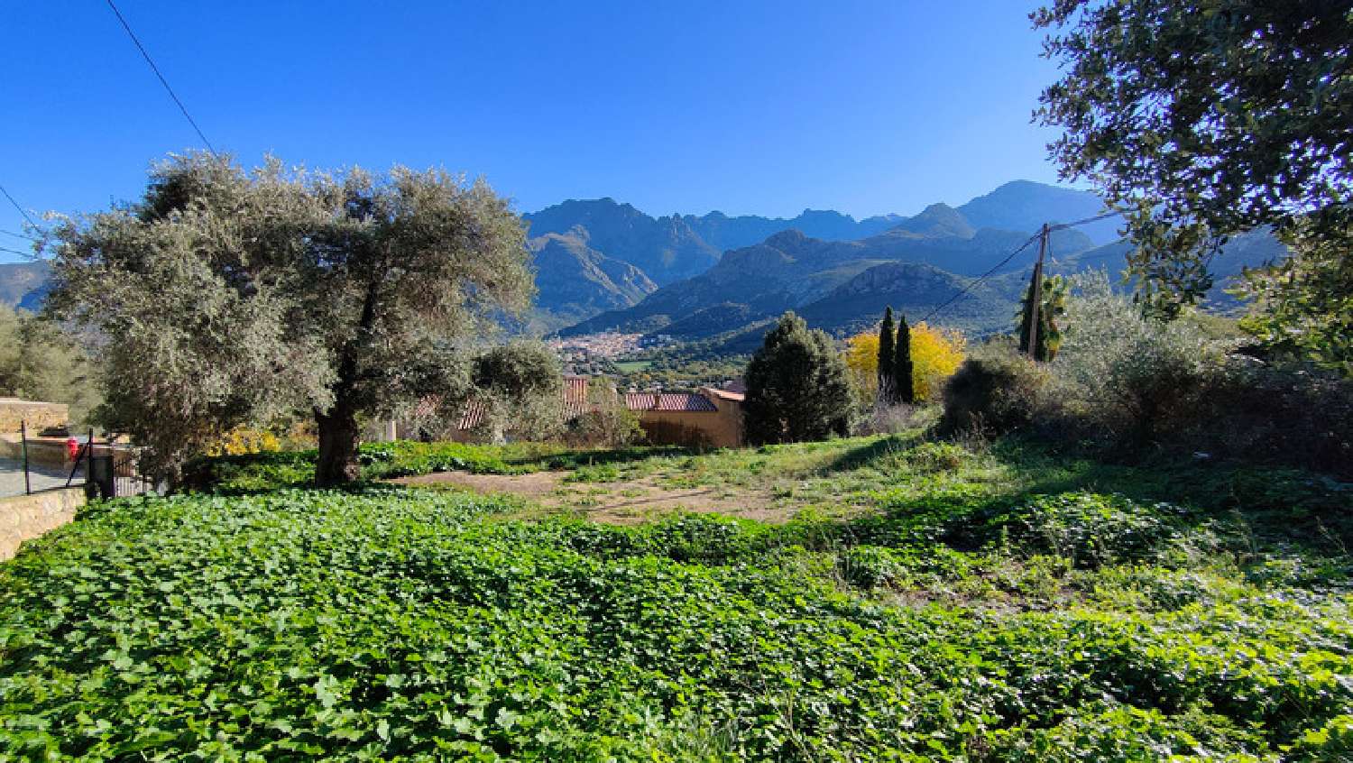  te koop terrein Moncale Haute-Corse 2