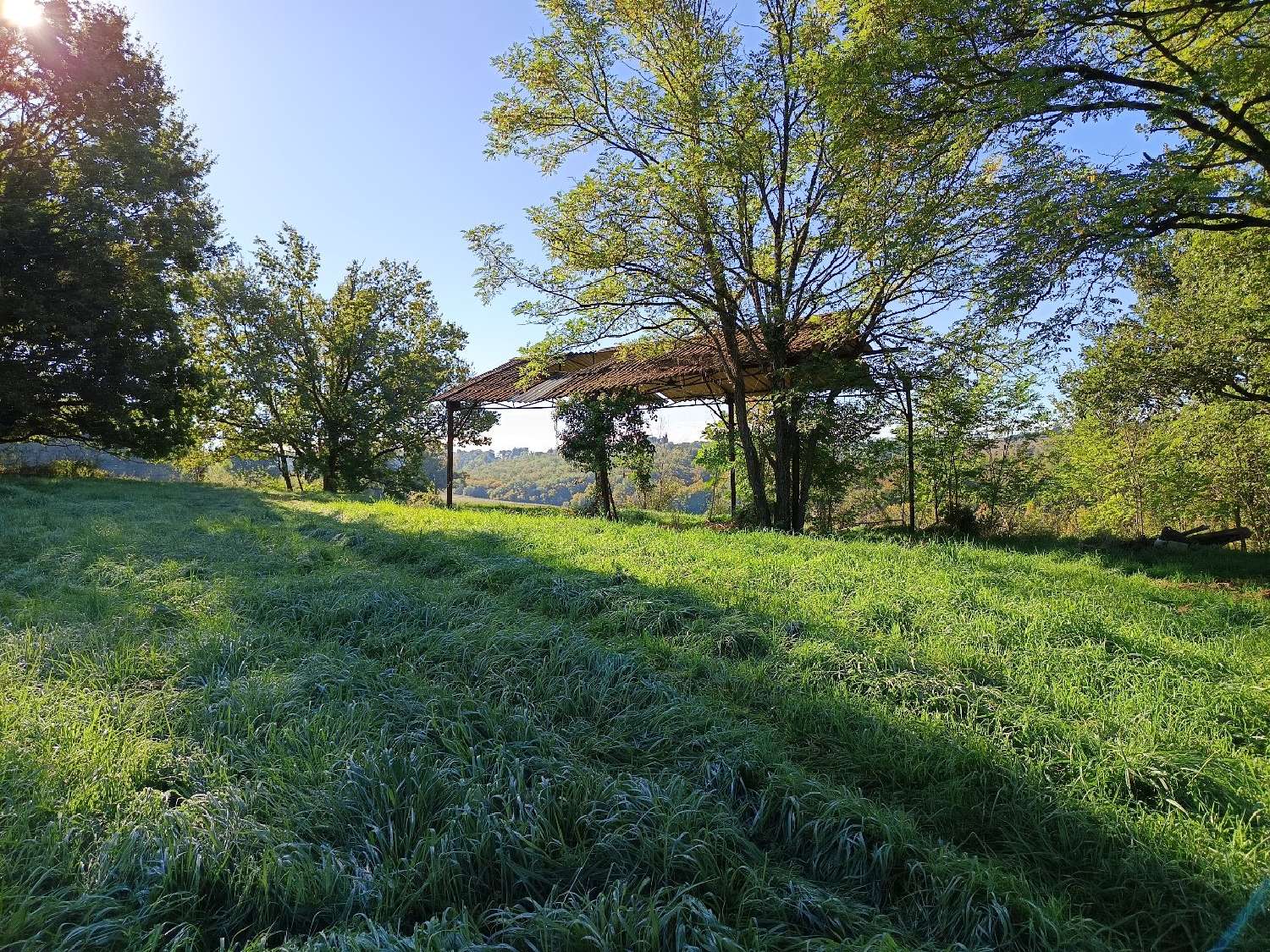  kaufen Grundstück Montdurausse Tarn 6