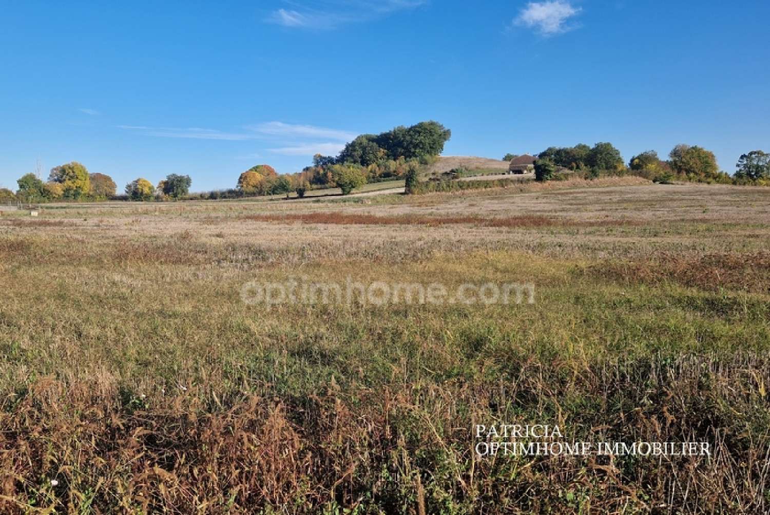  for sale terrain Monteton Lot-et-Garonne 2