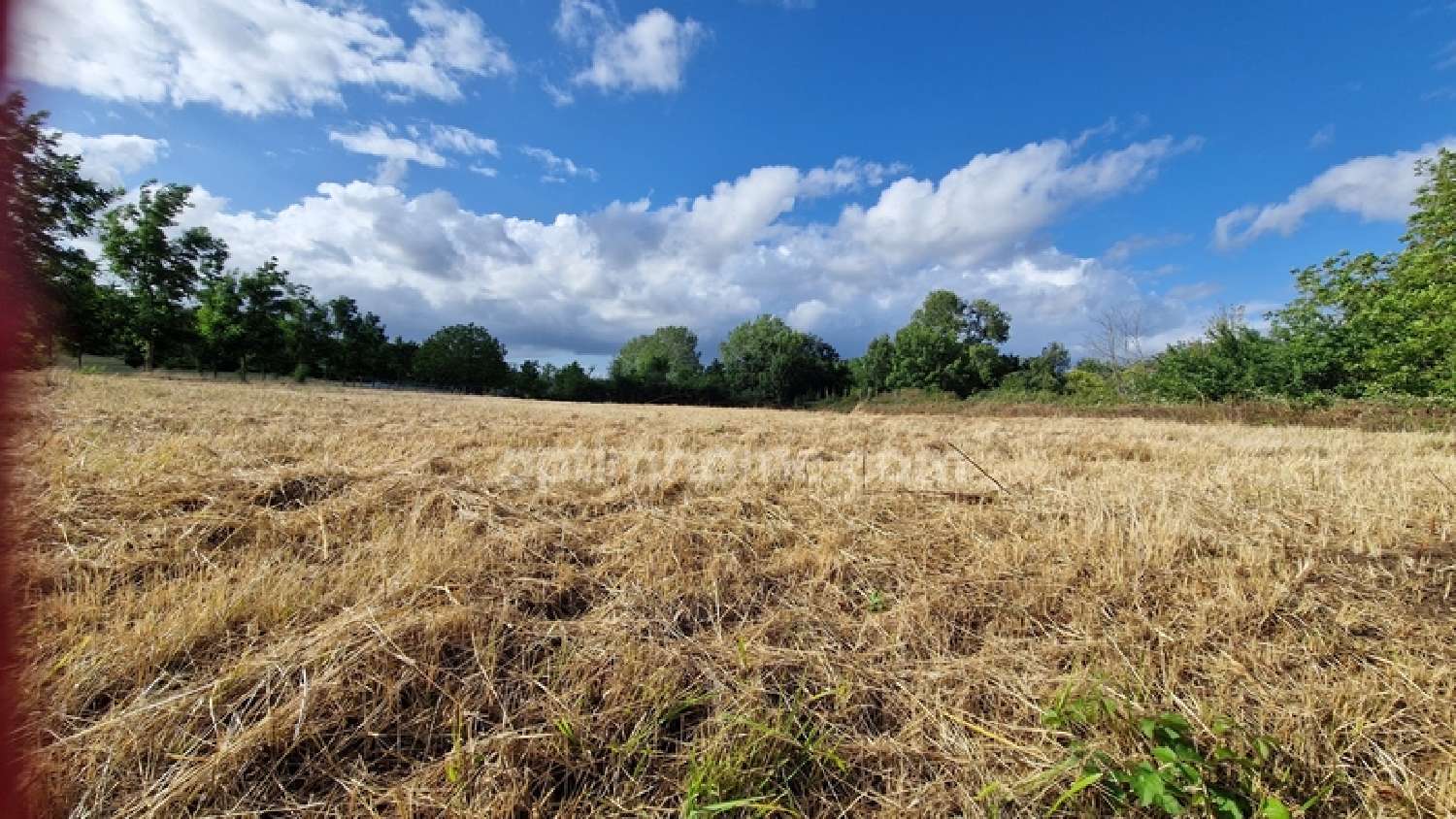  te koop terrein Moustier Lot-et-Garonne 3