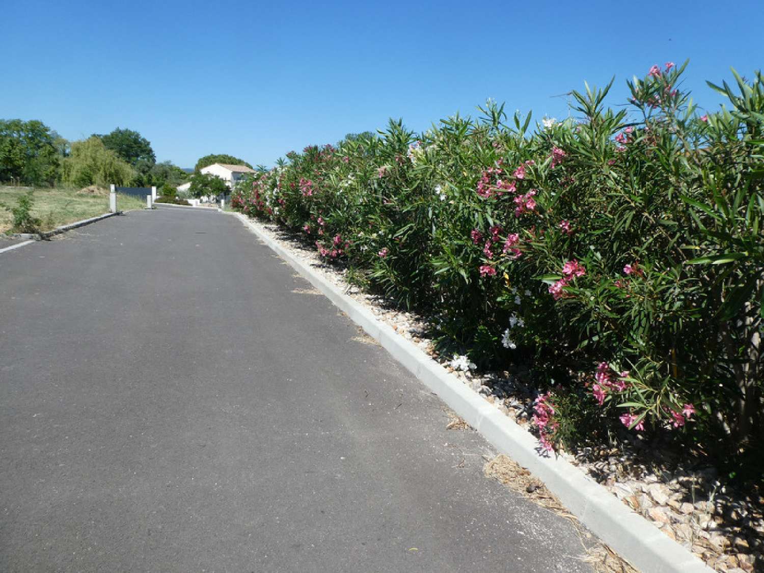  à vendre terrain Murviel-lès-Béziers Hérault 2