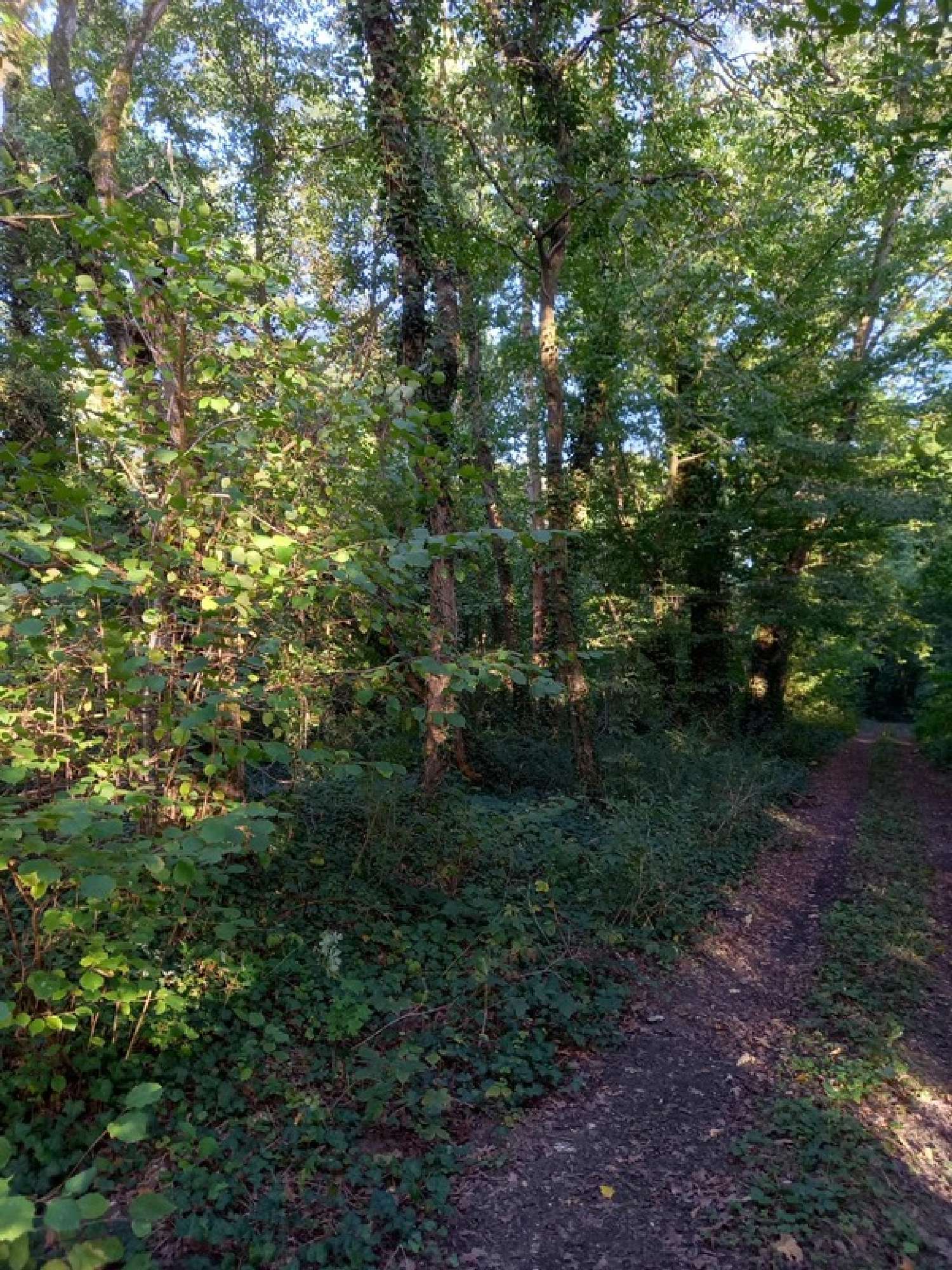  for sale terrain Nemours Seine-et-Marne 2