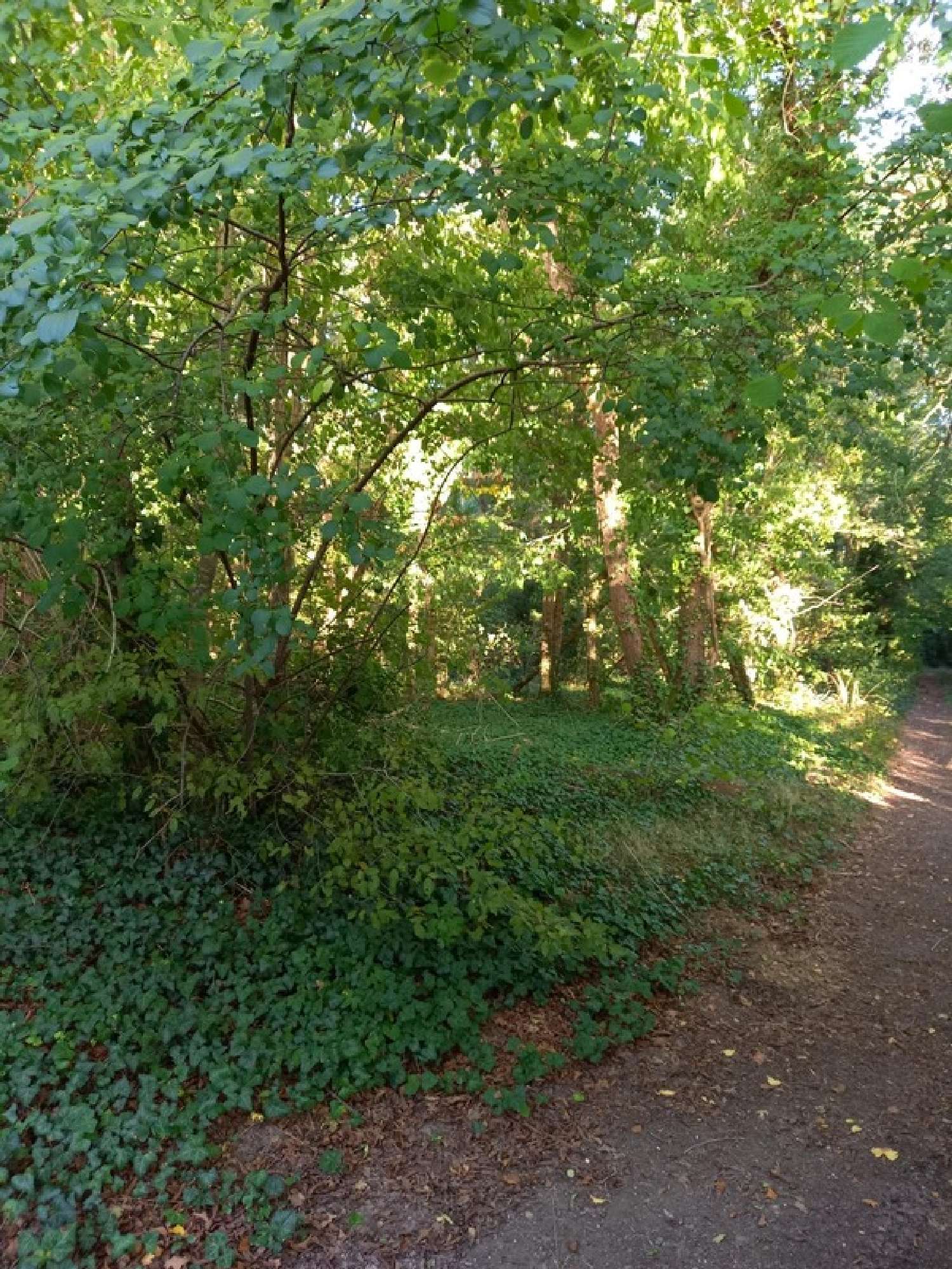  for sale terrain Nemours Seine-et-Marne 3