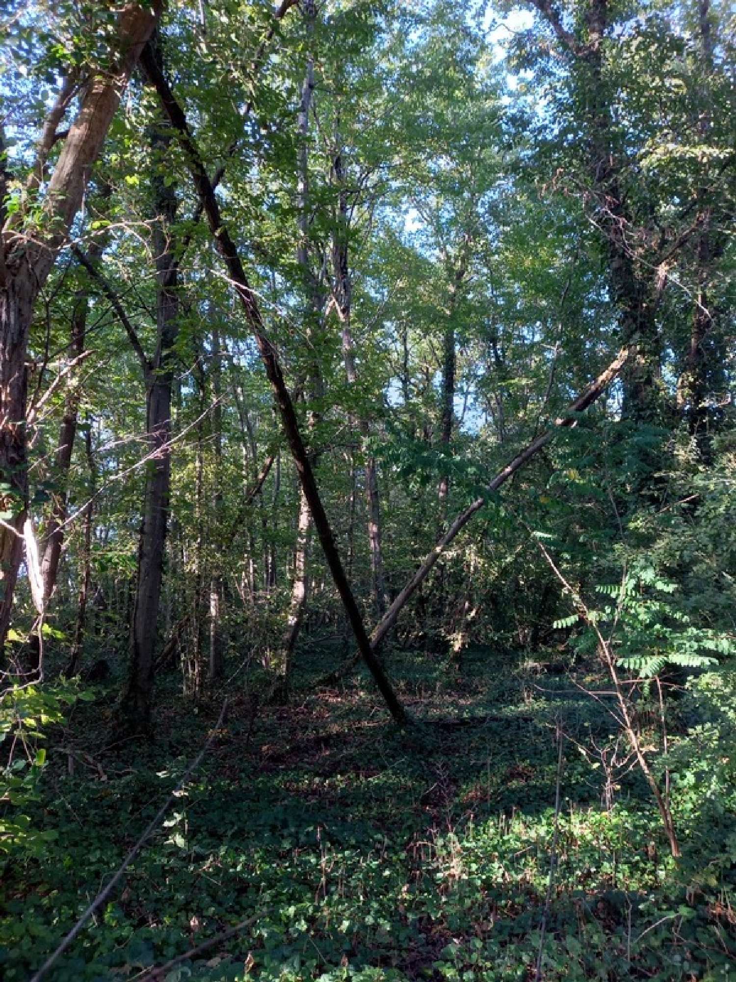 for sale terrain Nemours Seine-et-Marne 6