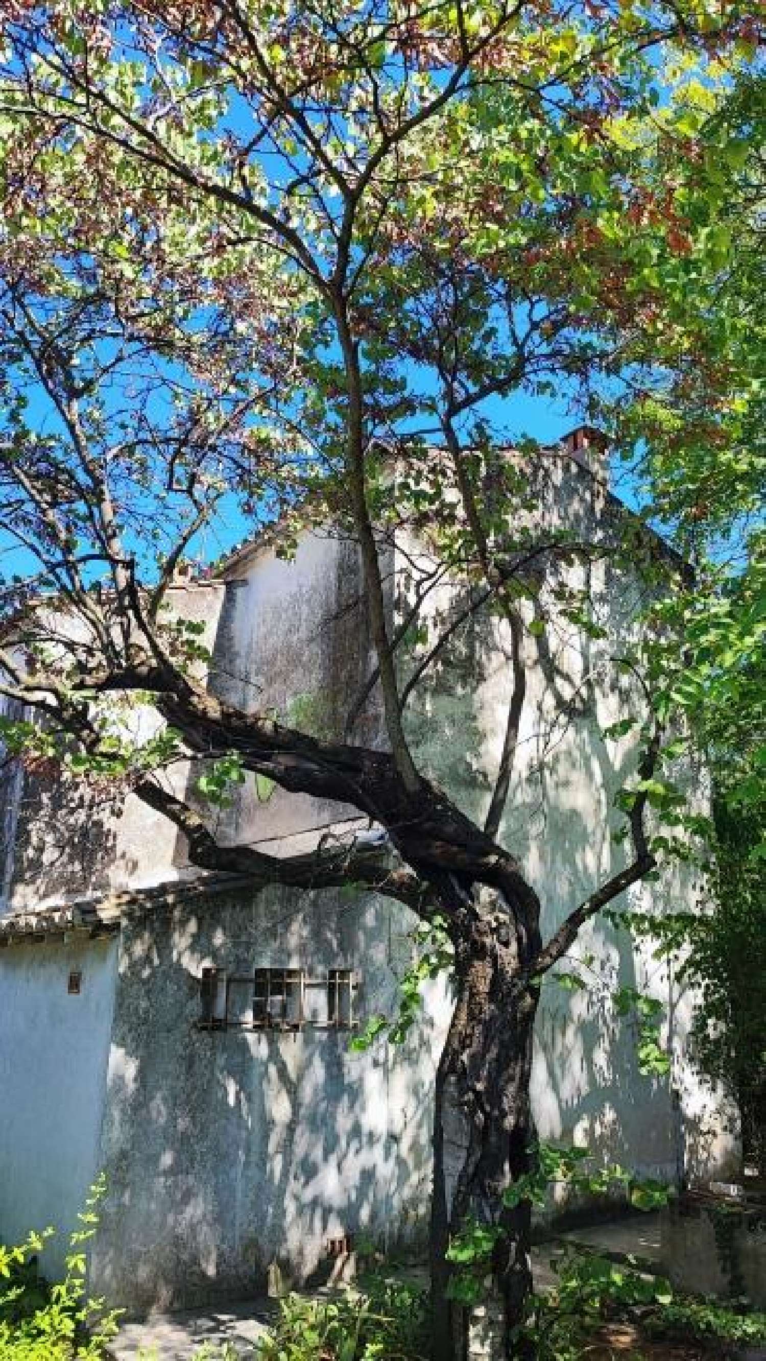  for sale terrain Nîmes Gard 5