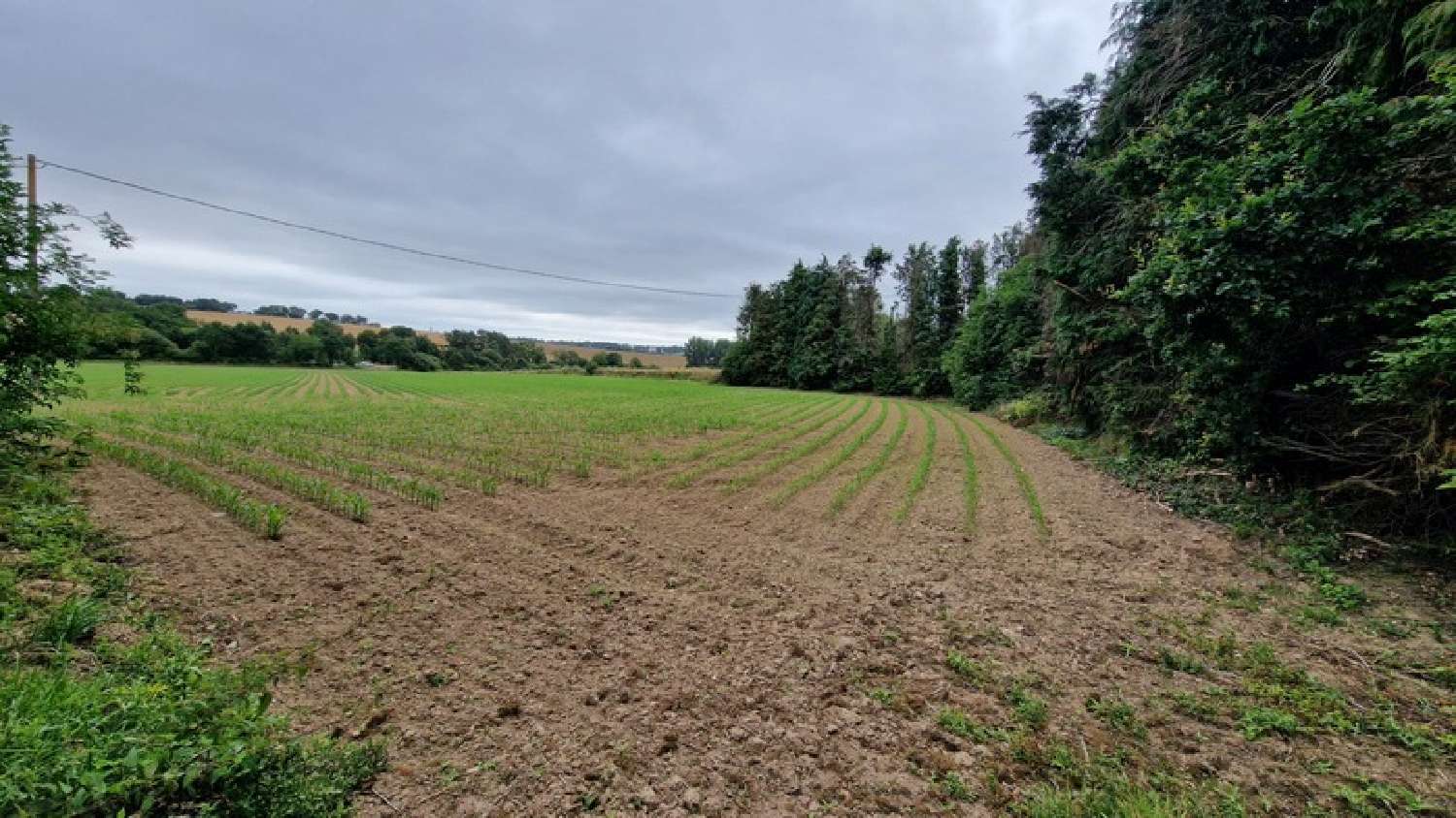  kaufen Grundstück Noyal-Pontivy Morbihan 2