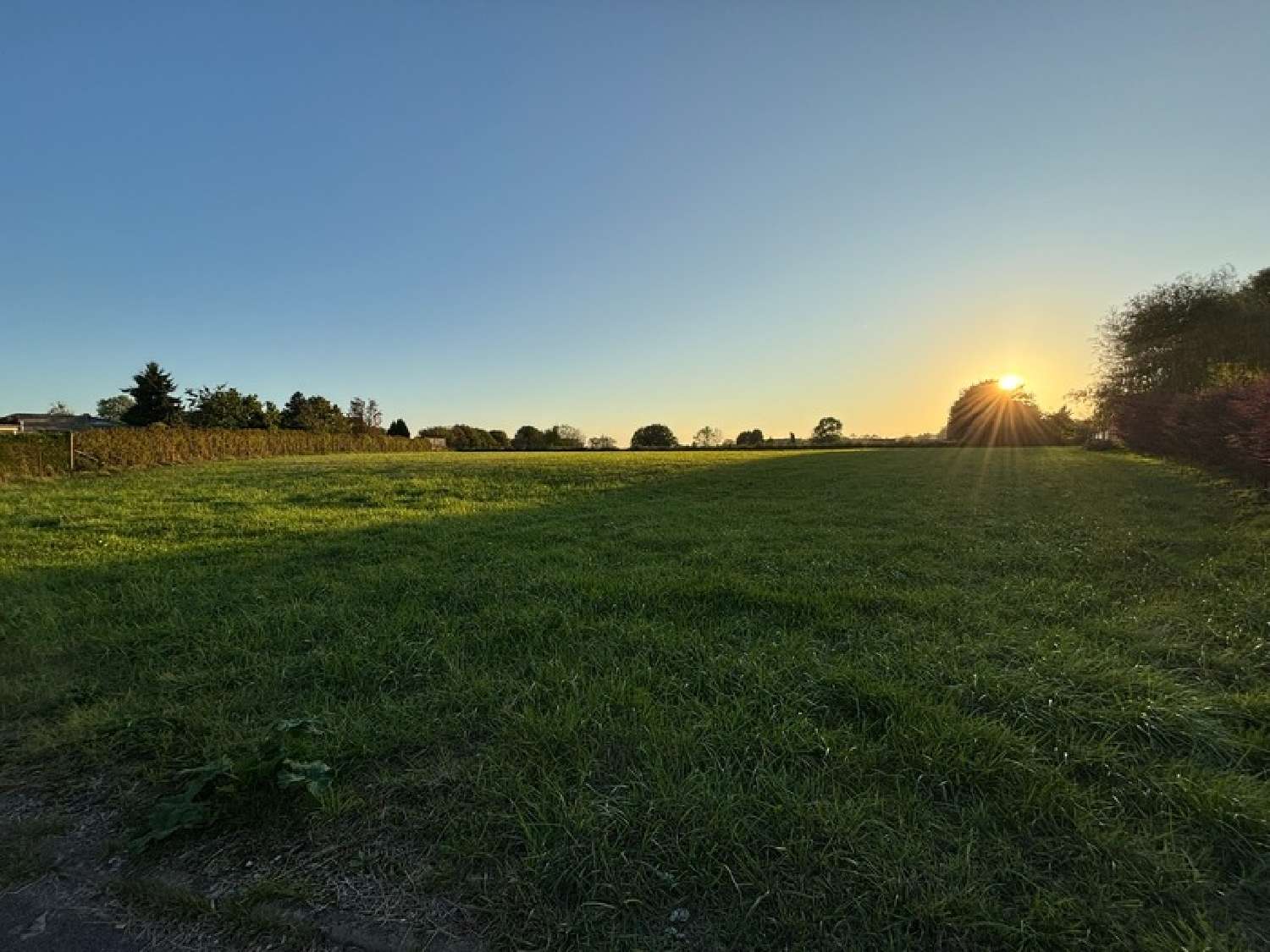  for sale terrain Ohain Nord 3