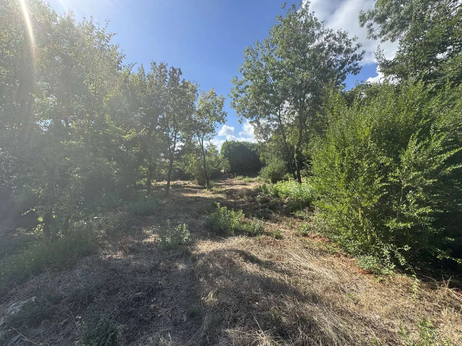  à vendre terrain Opio Alpes-Maritimes 3