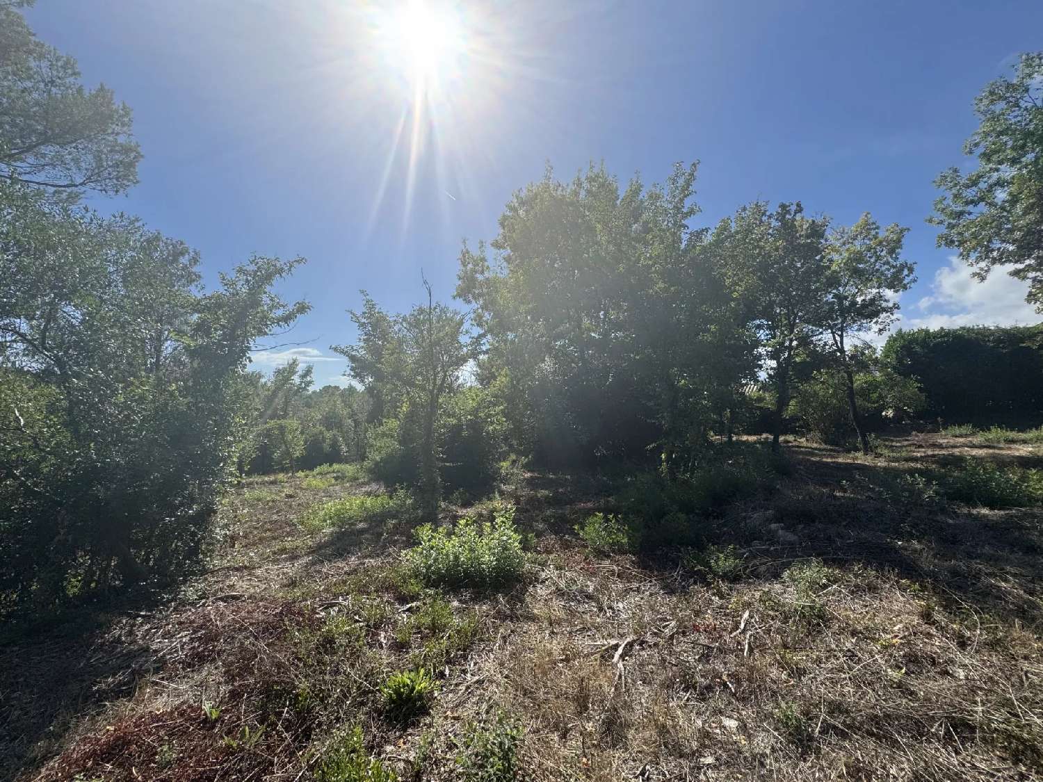 à vendre terrain Opio Alpes-Maritimes 4