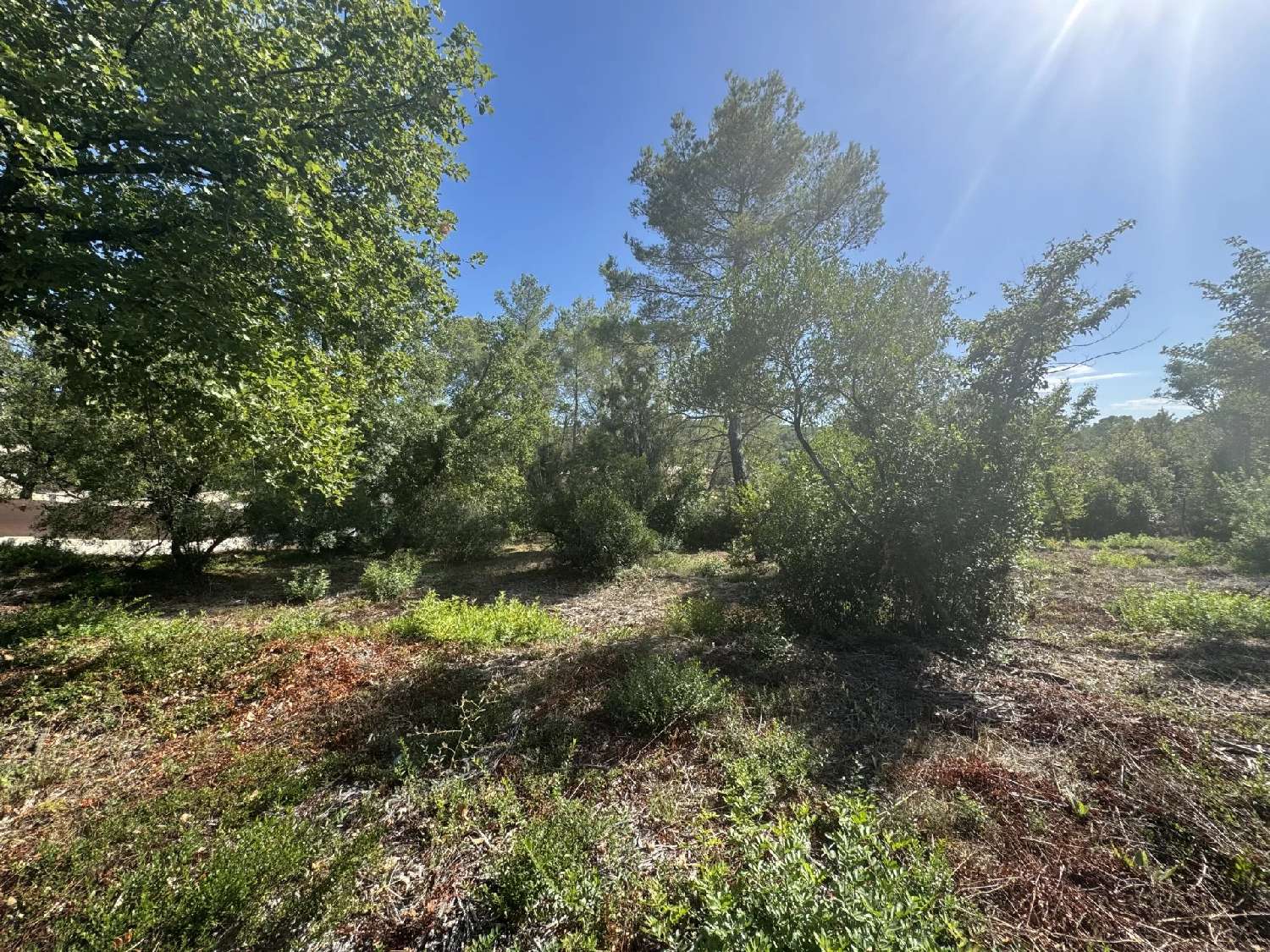  à vendre terrain Opio Alpes-Maritimes 5