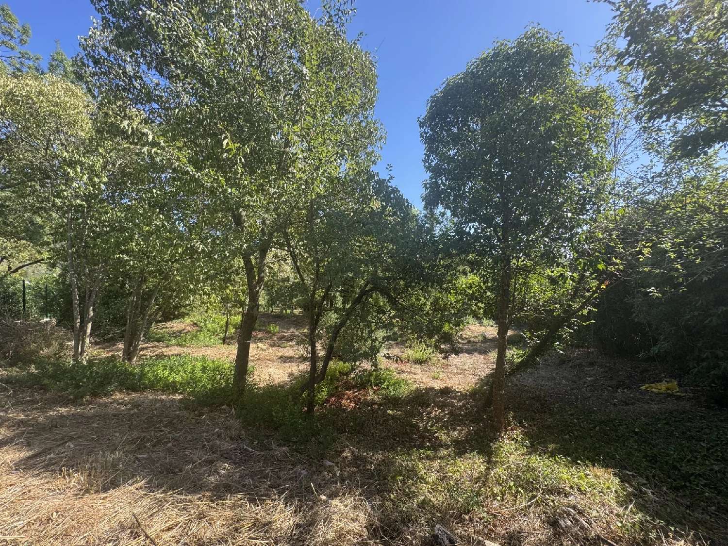  à vendre terrain Opio Alpes-Maritimes 6