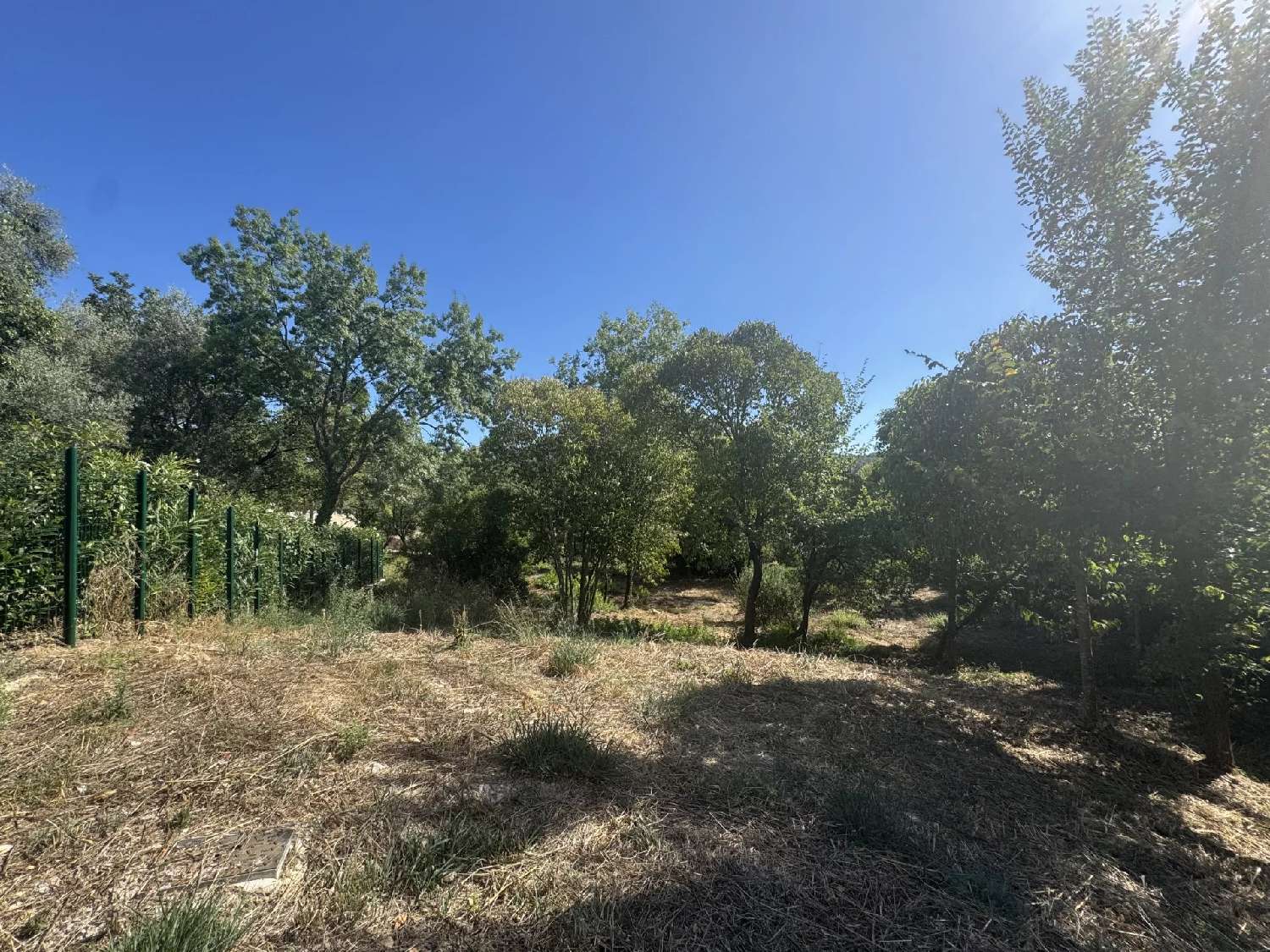  à vendre terrain Opio Alpes-Maritimes 7