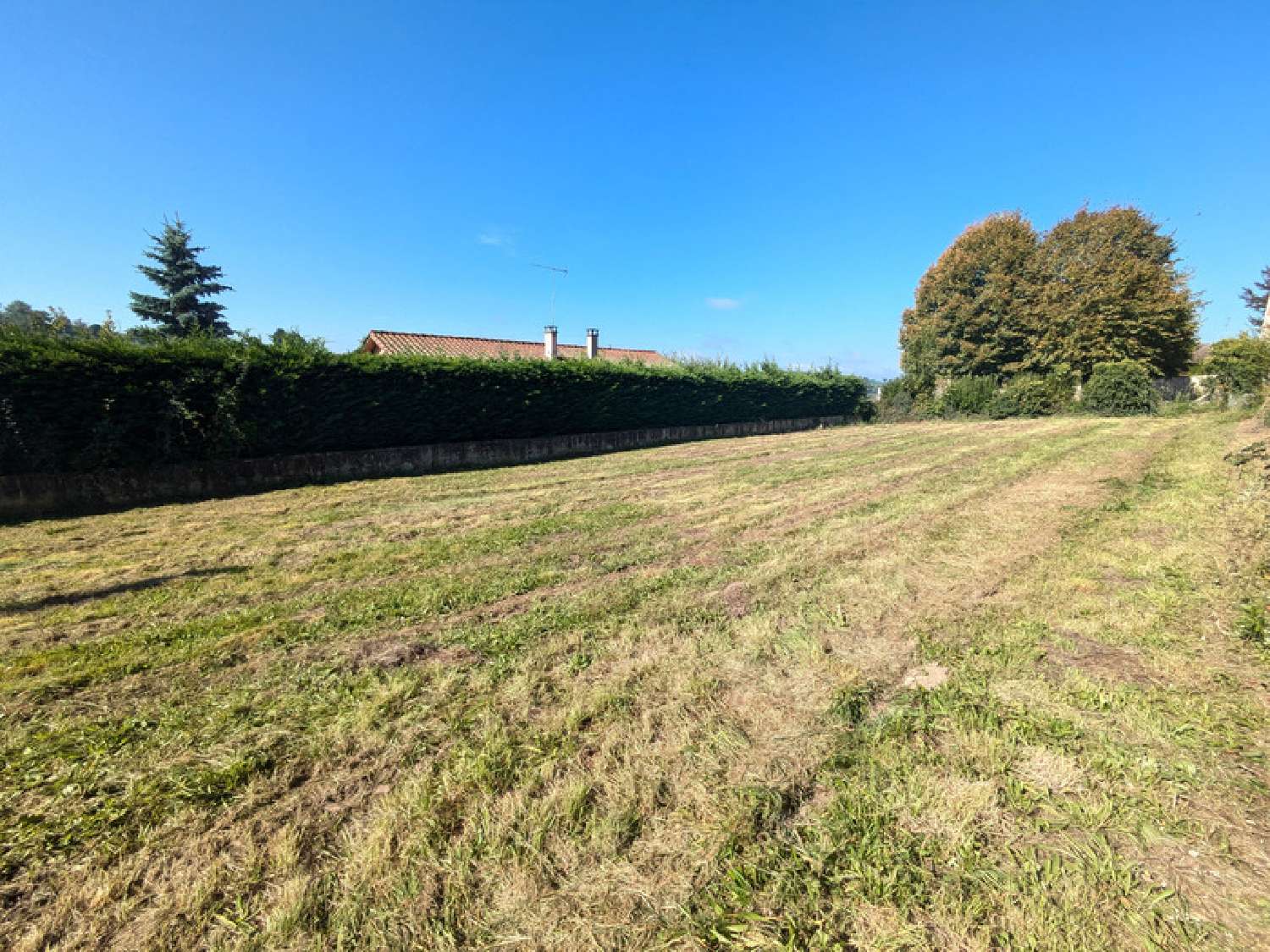  for sale terrain Panissières Loire 2