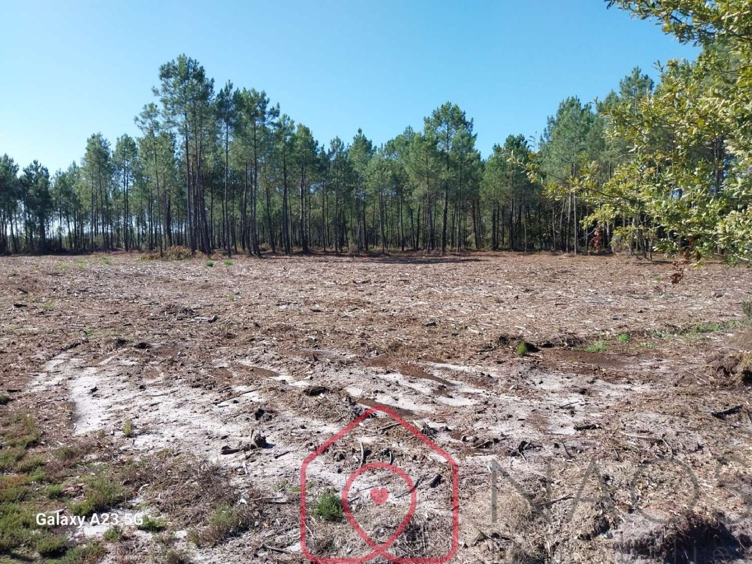  te koop terrein Parentis-en-Born Landes 4