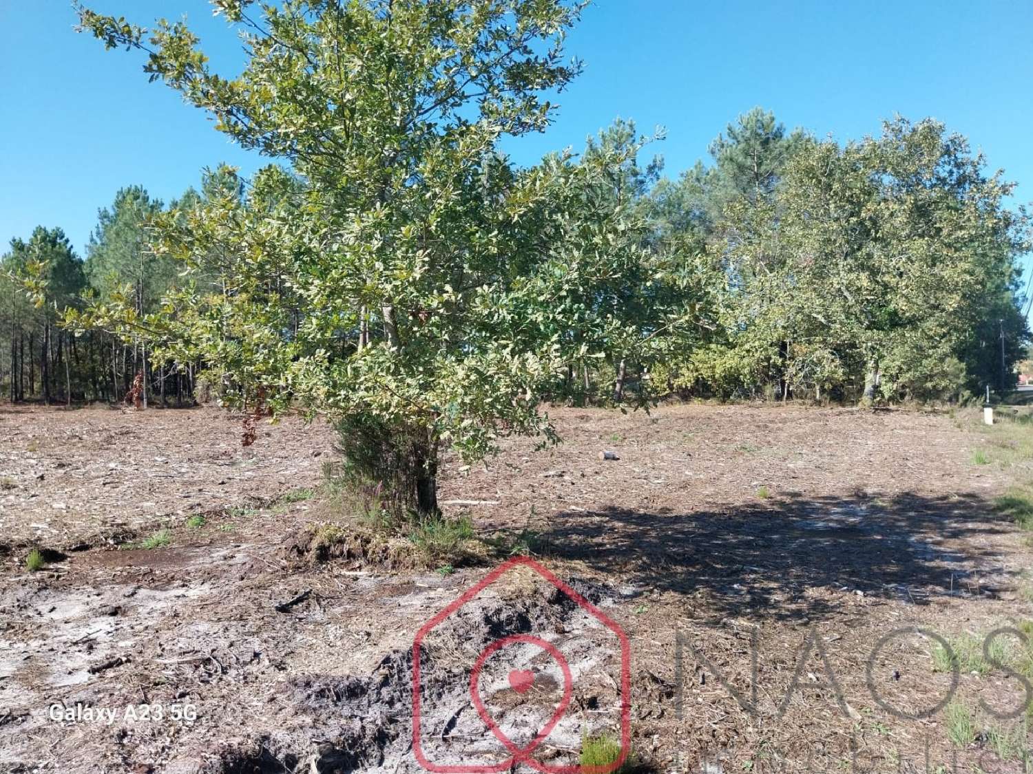  te koop terrein Parentis-en-Born Landes 5