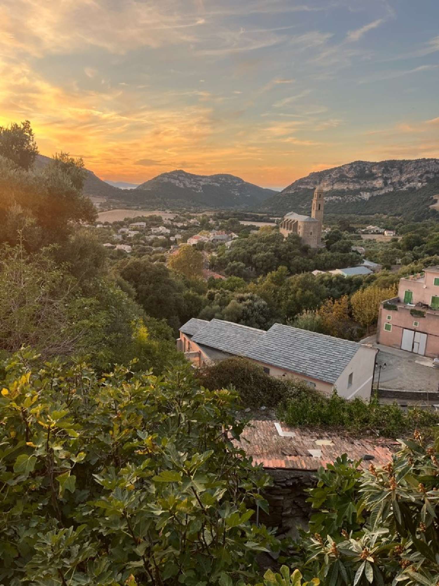 te koop terrein Patrimonio Haute-Corse 3