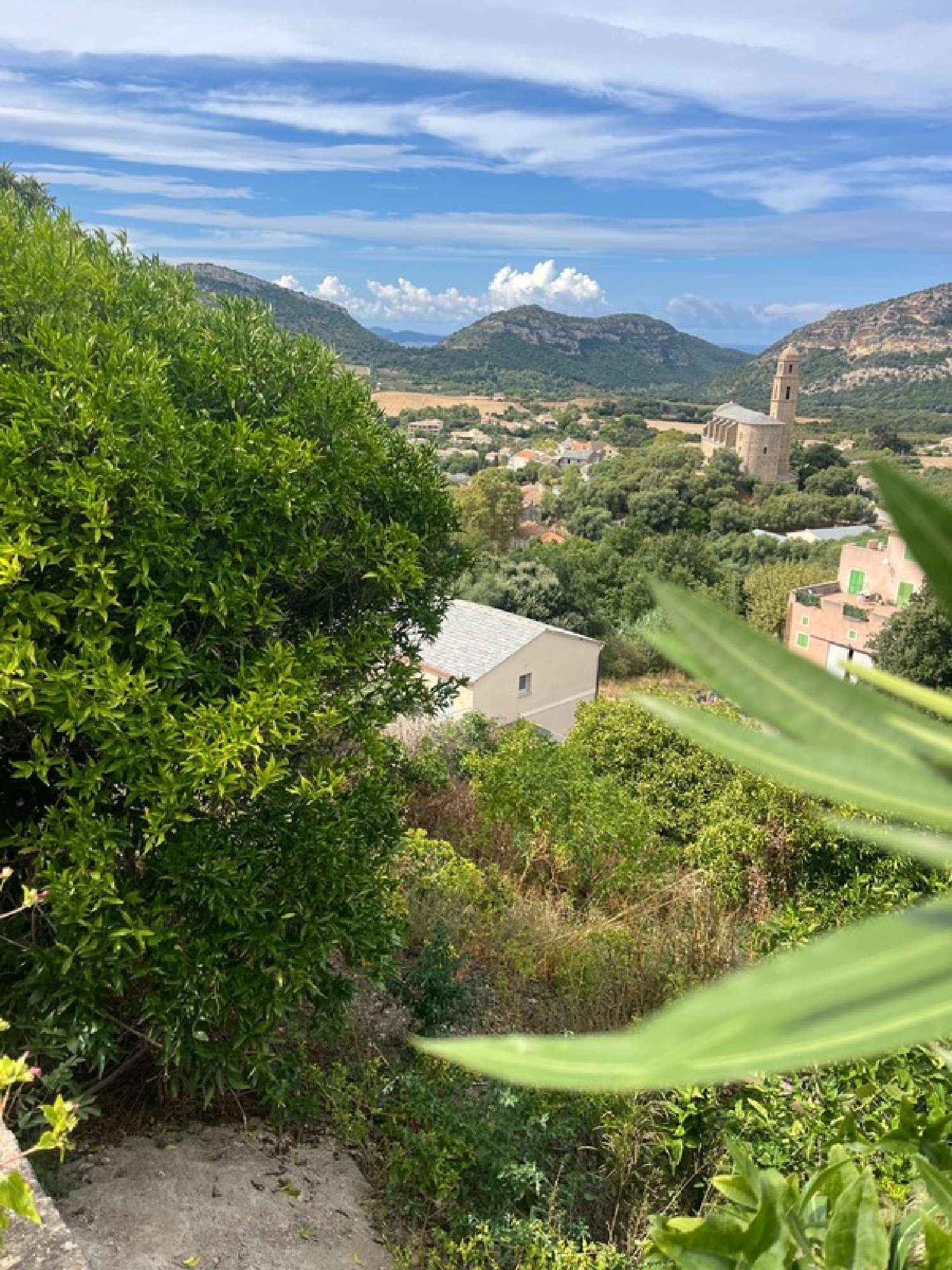  te koop terrein Patrimonio Haute-Corse 4
