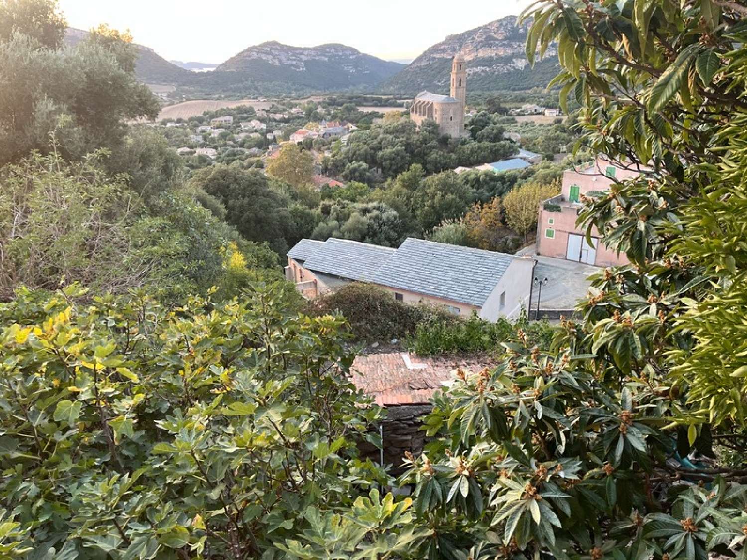  te koop terrein Patrimonio Haute-Corse 5