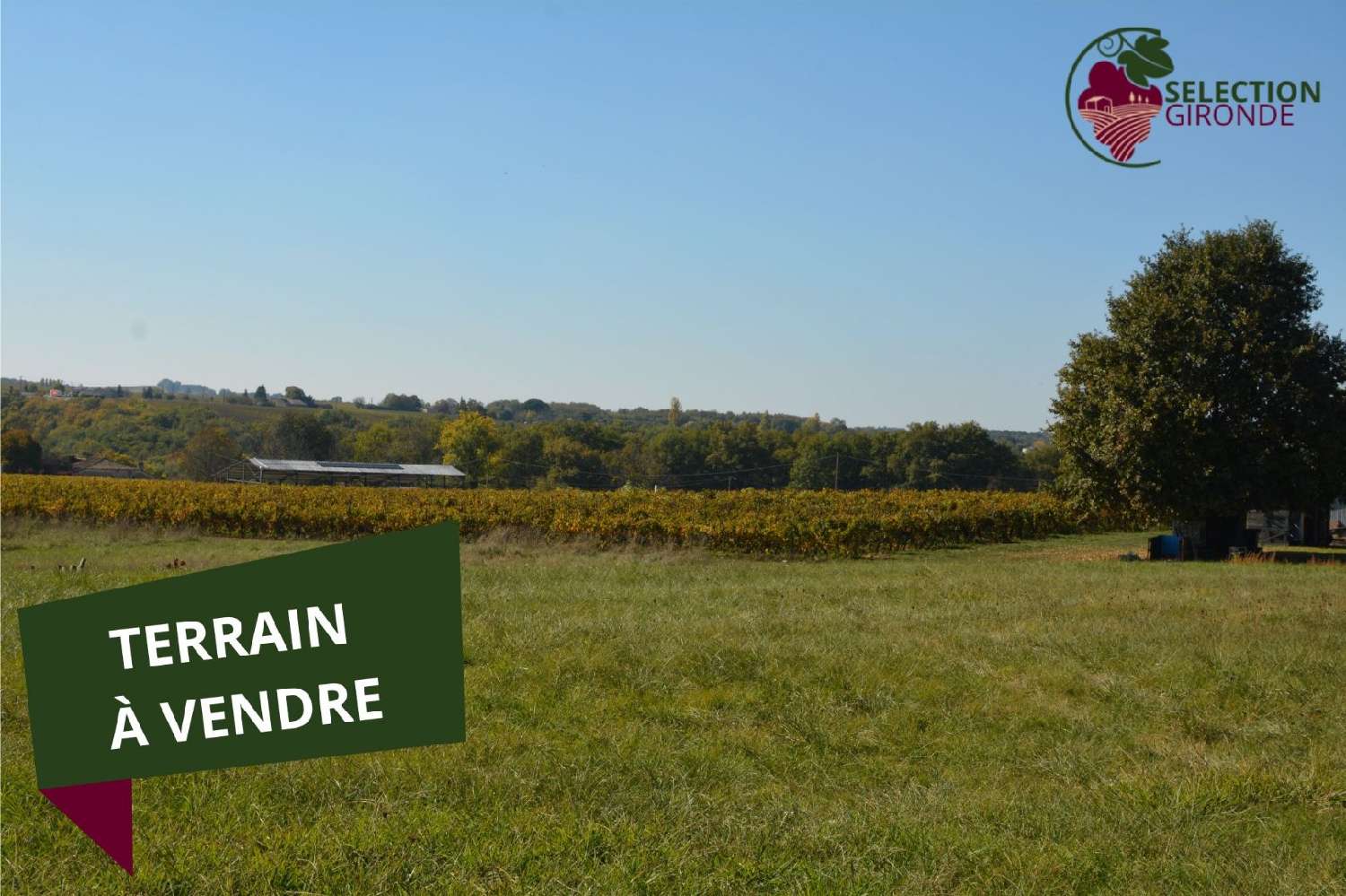 à vendre terrain Pellegrue Gironde 1