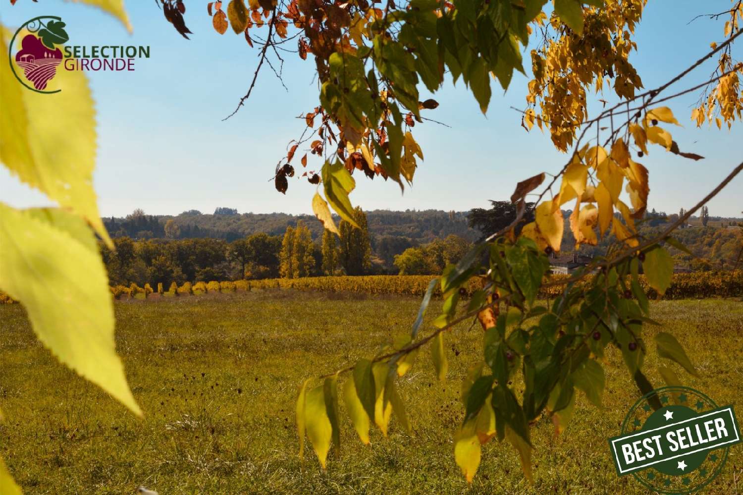 à vendre terrain Pellegrue Gironde 1